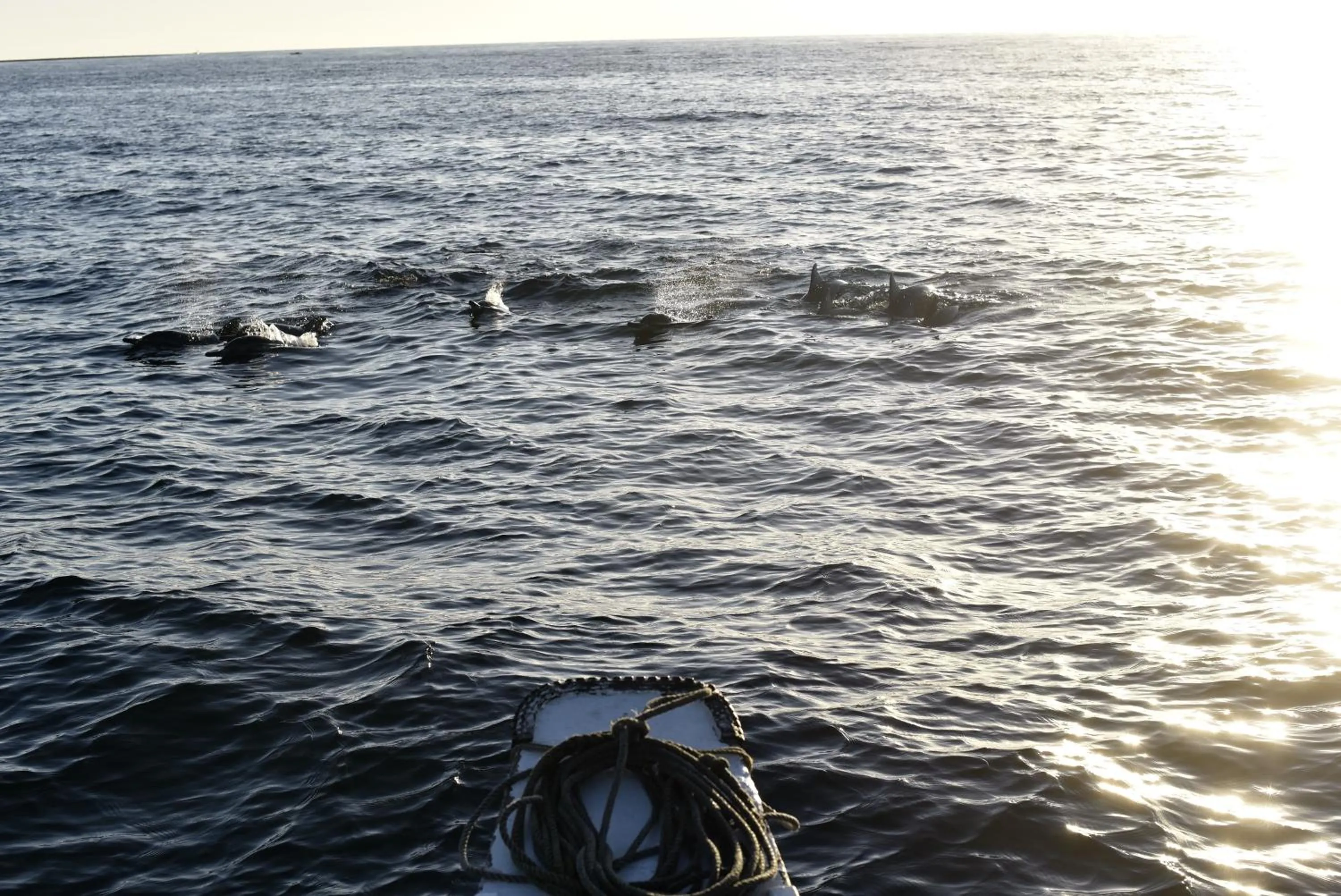 Day in Shirley's Cottage - Pamilacan Island