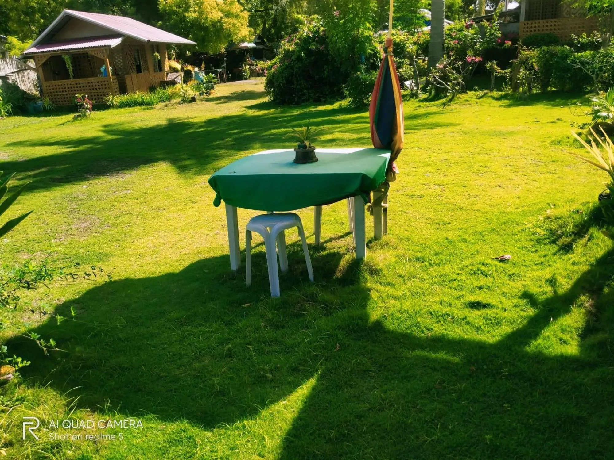 Garden in Shirley's Cottage - Pamilacan Island