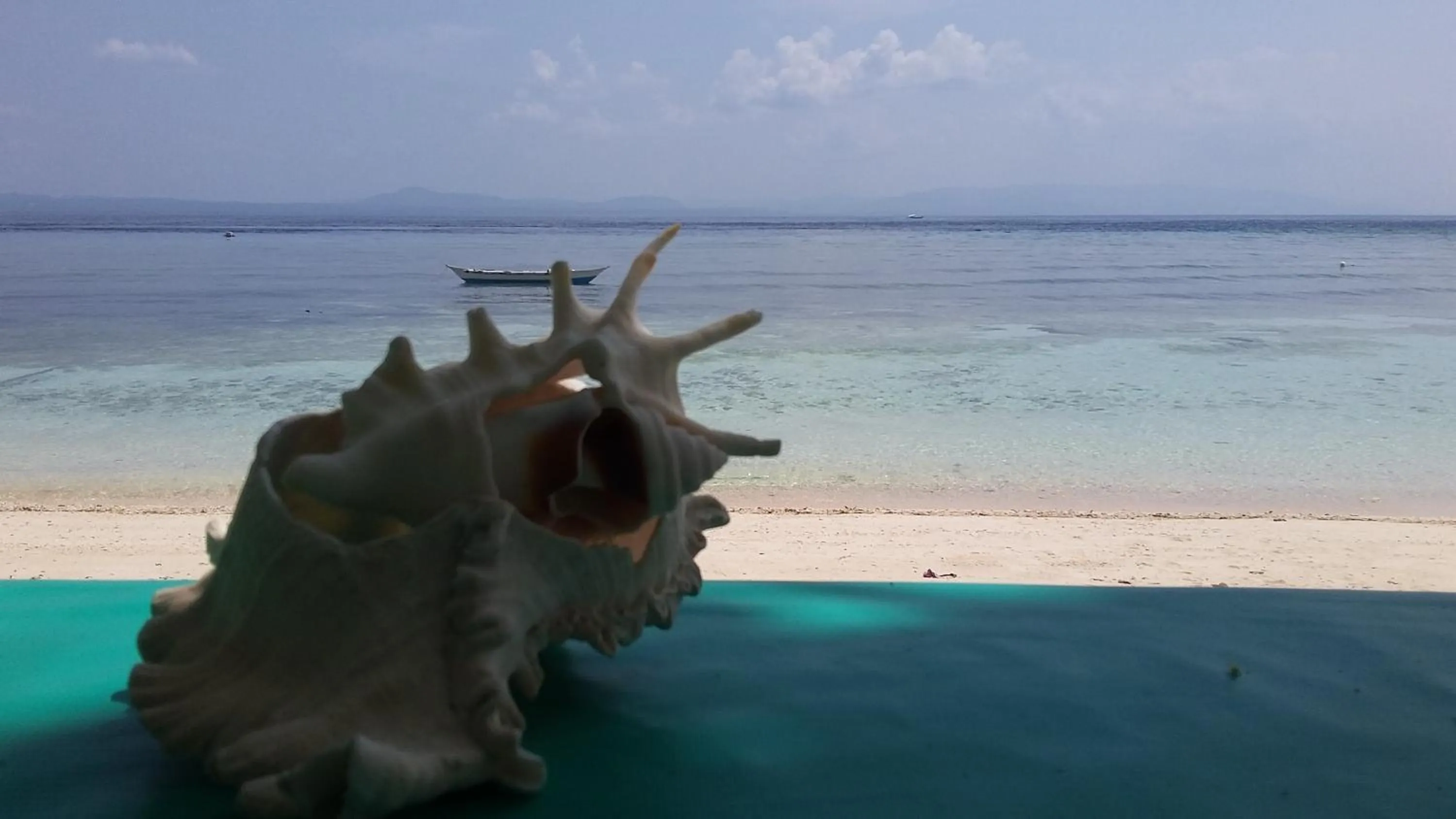 Shirley's Cottage - Pamilacan Island