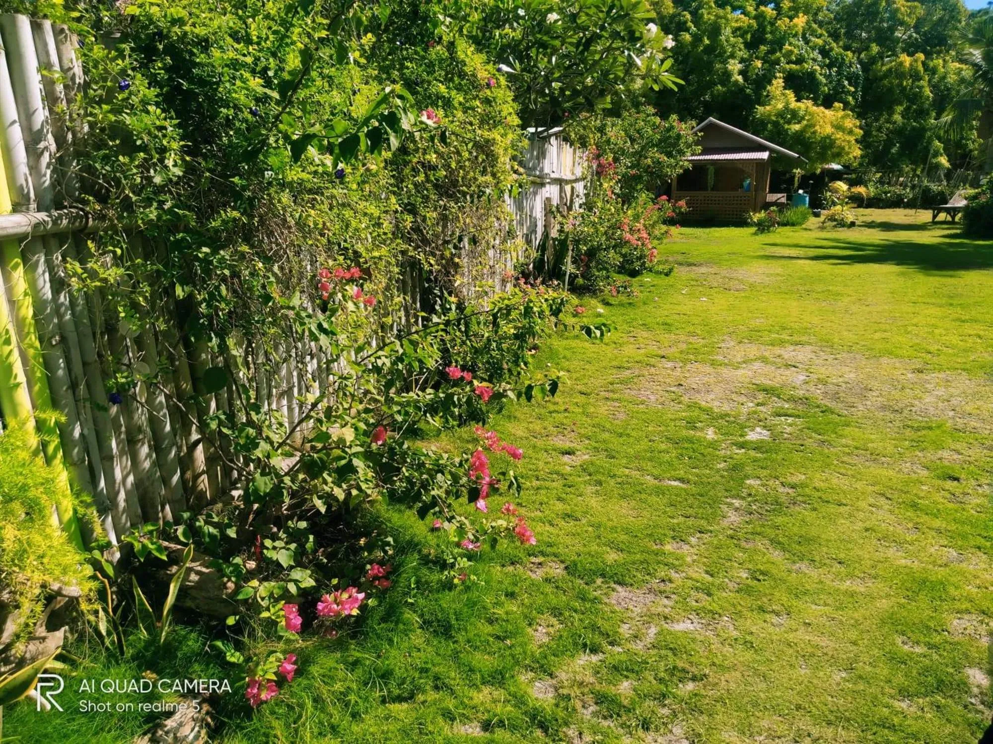 Garden in Shirley's Cottage - Pamilacan Island