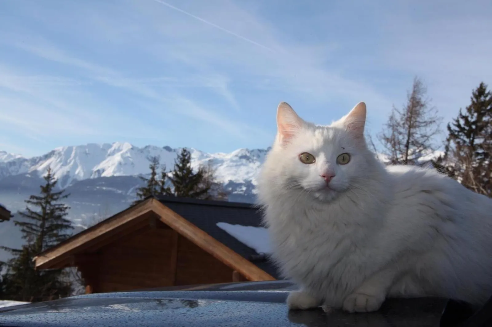 Les Mazots de la Source & Spa