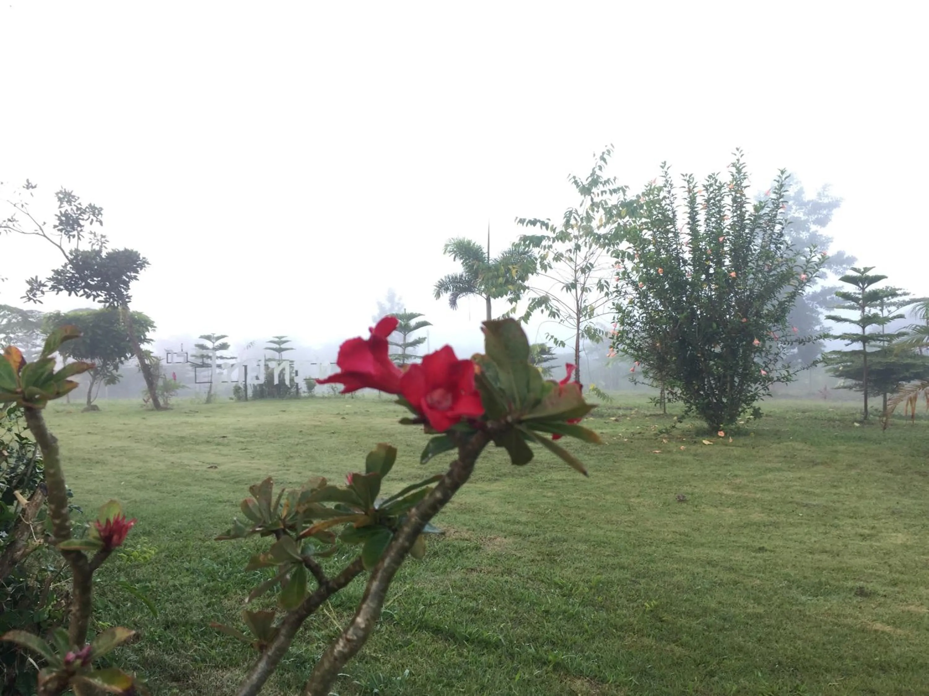 Khao Kho Copter Hill