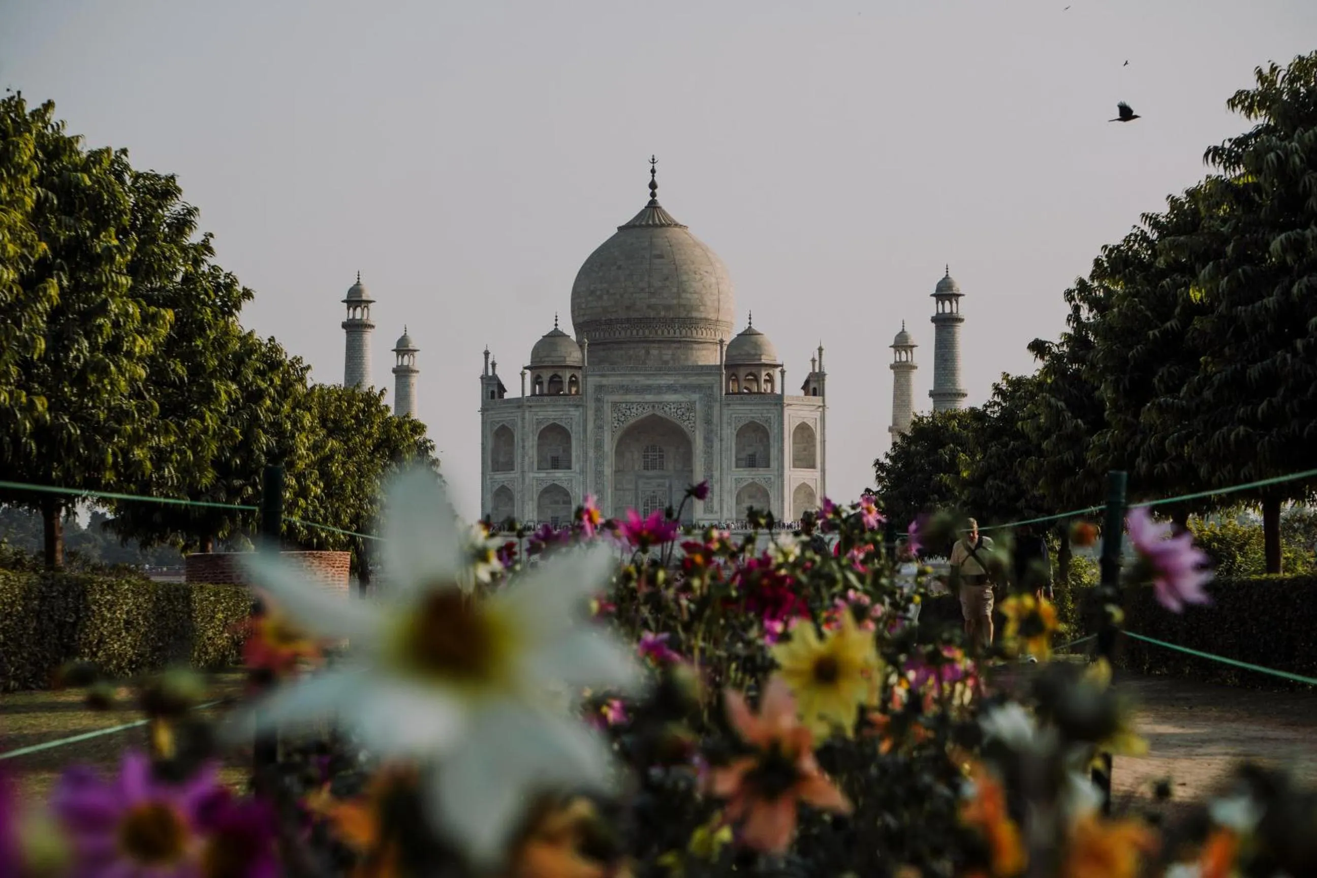 Nearby landmark in Moustache Agra