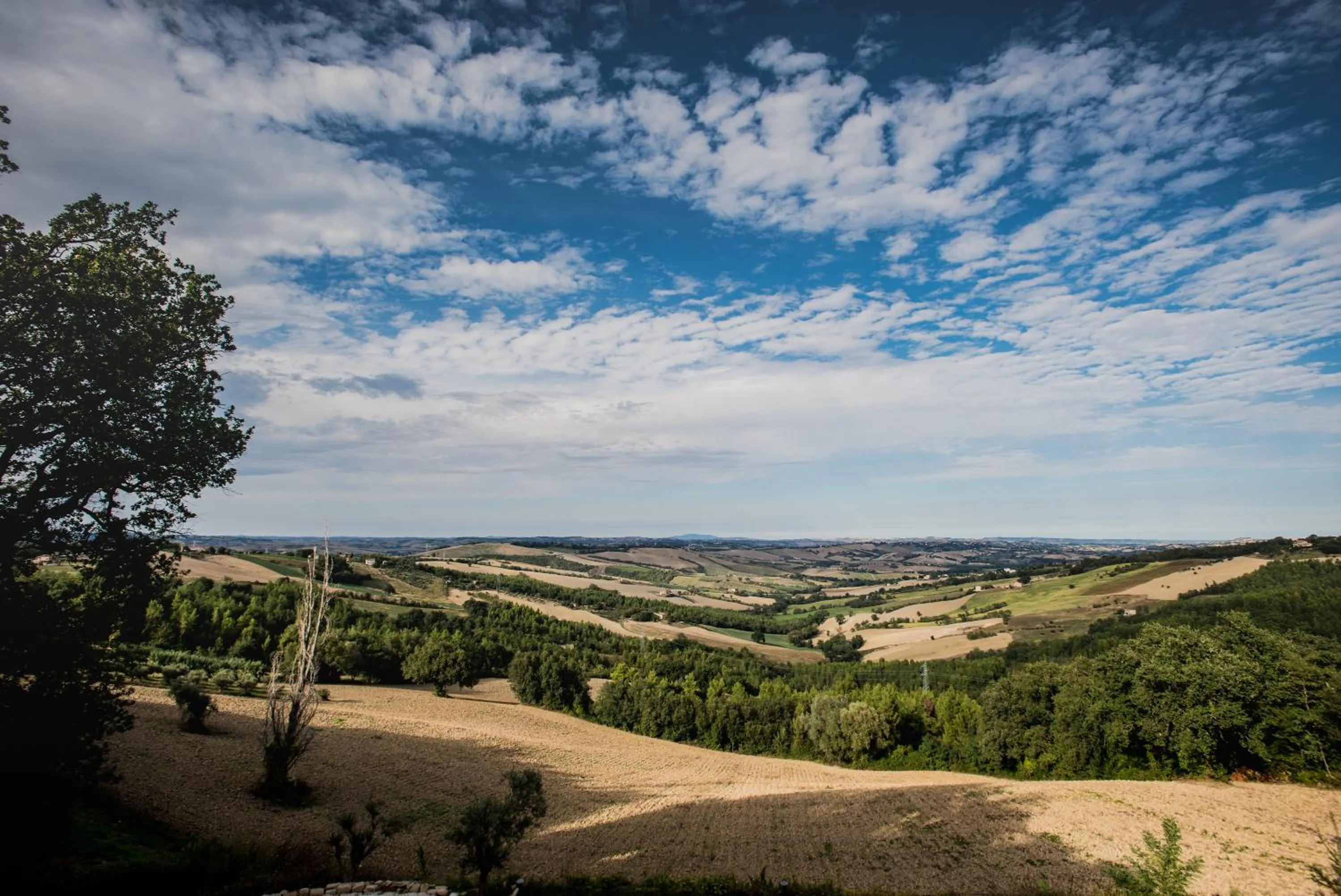 Natural landscape in Villa Anitori Prestige Relais & Spa