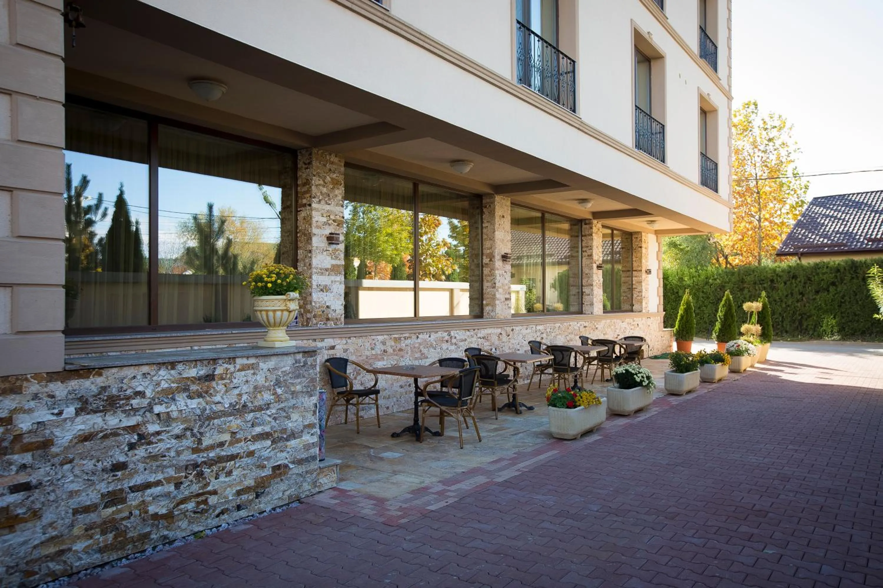 Garden in Hotel Aviator Boutique