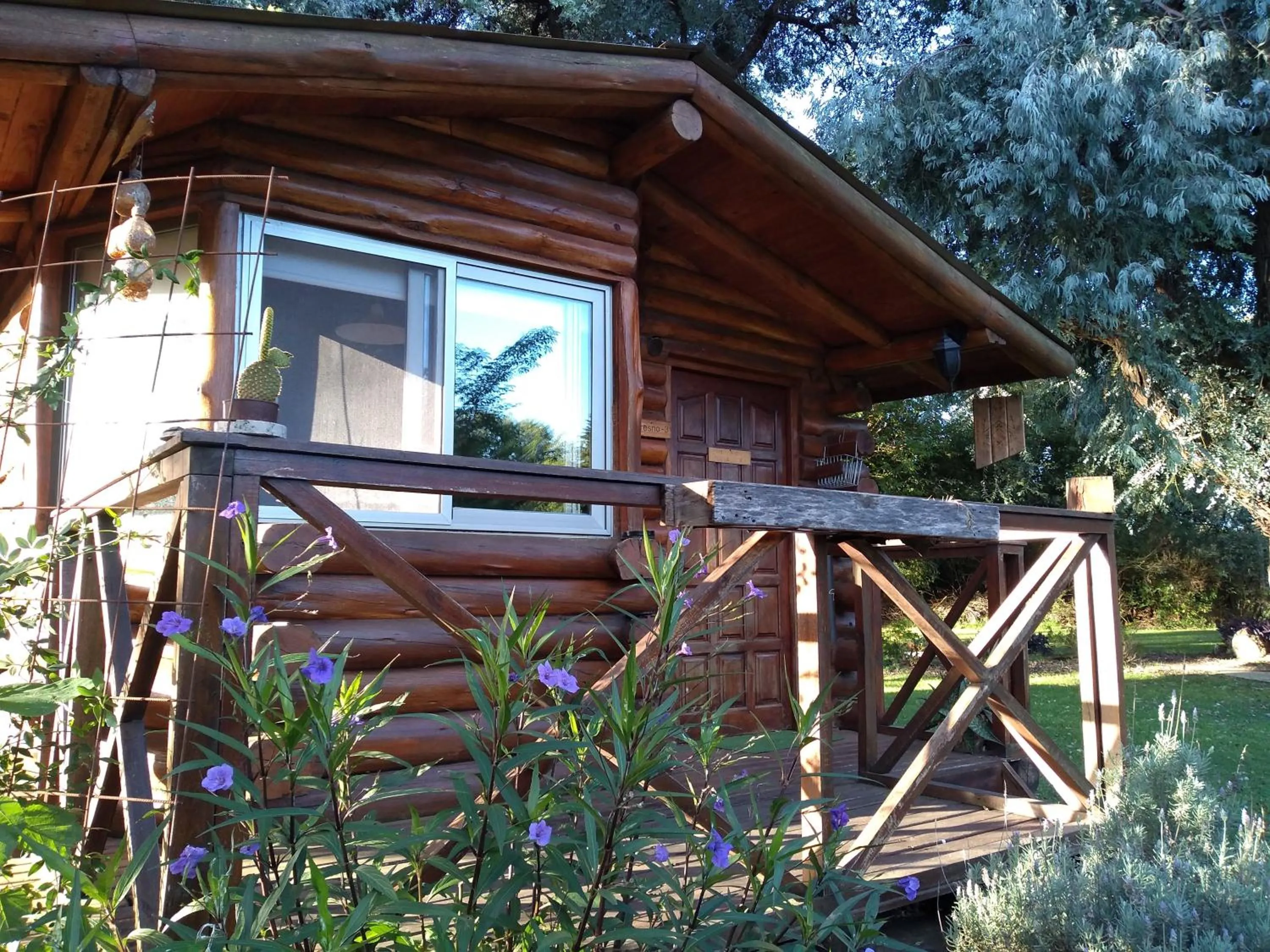 Area and facilities in Pualy Resort & Spa