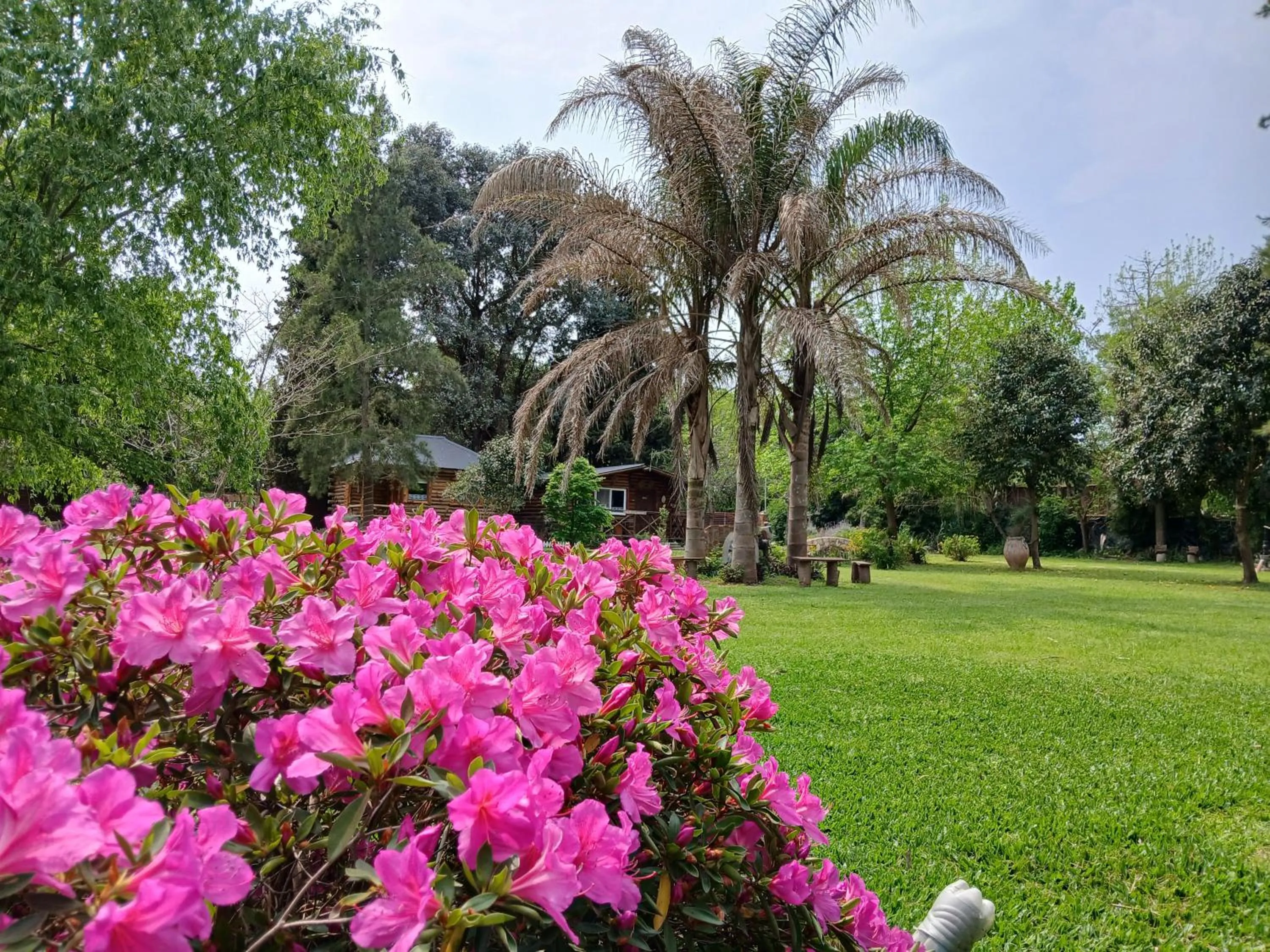 Garden view in Pualy Resort & Spa
