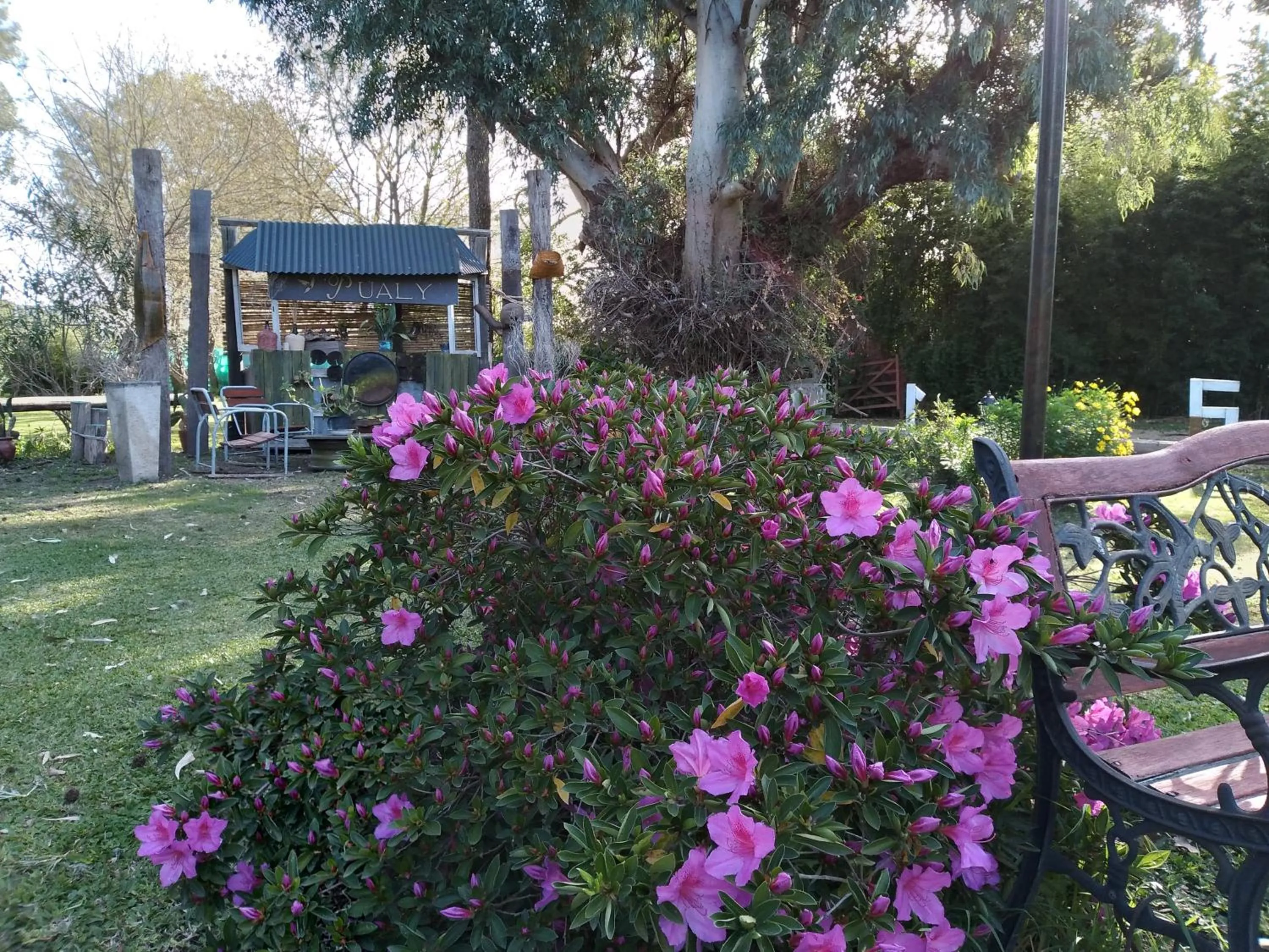 Garden in Pualy Resort & Spa