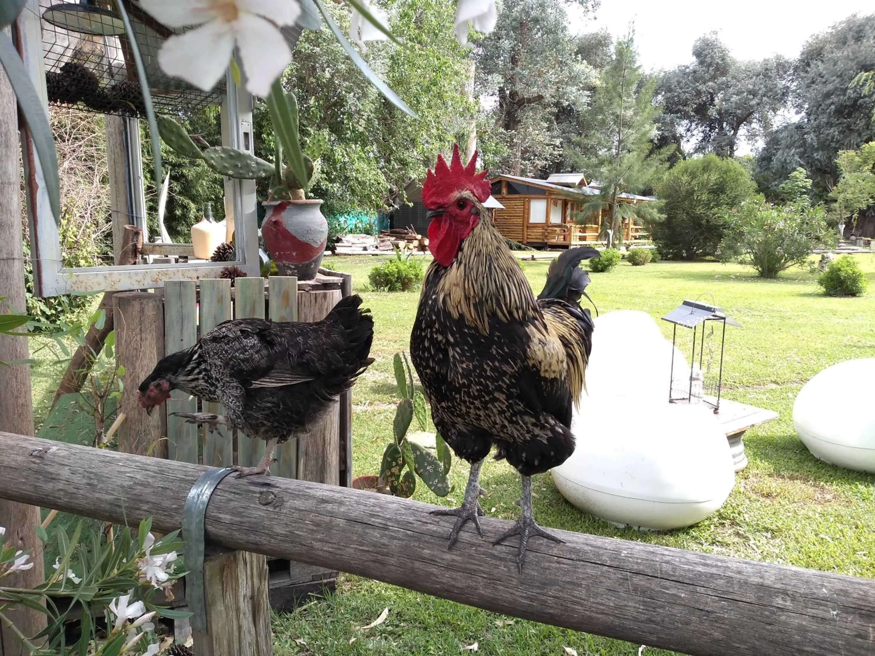 Garden in Pualy Resort & Spa