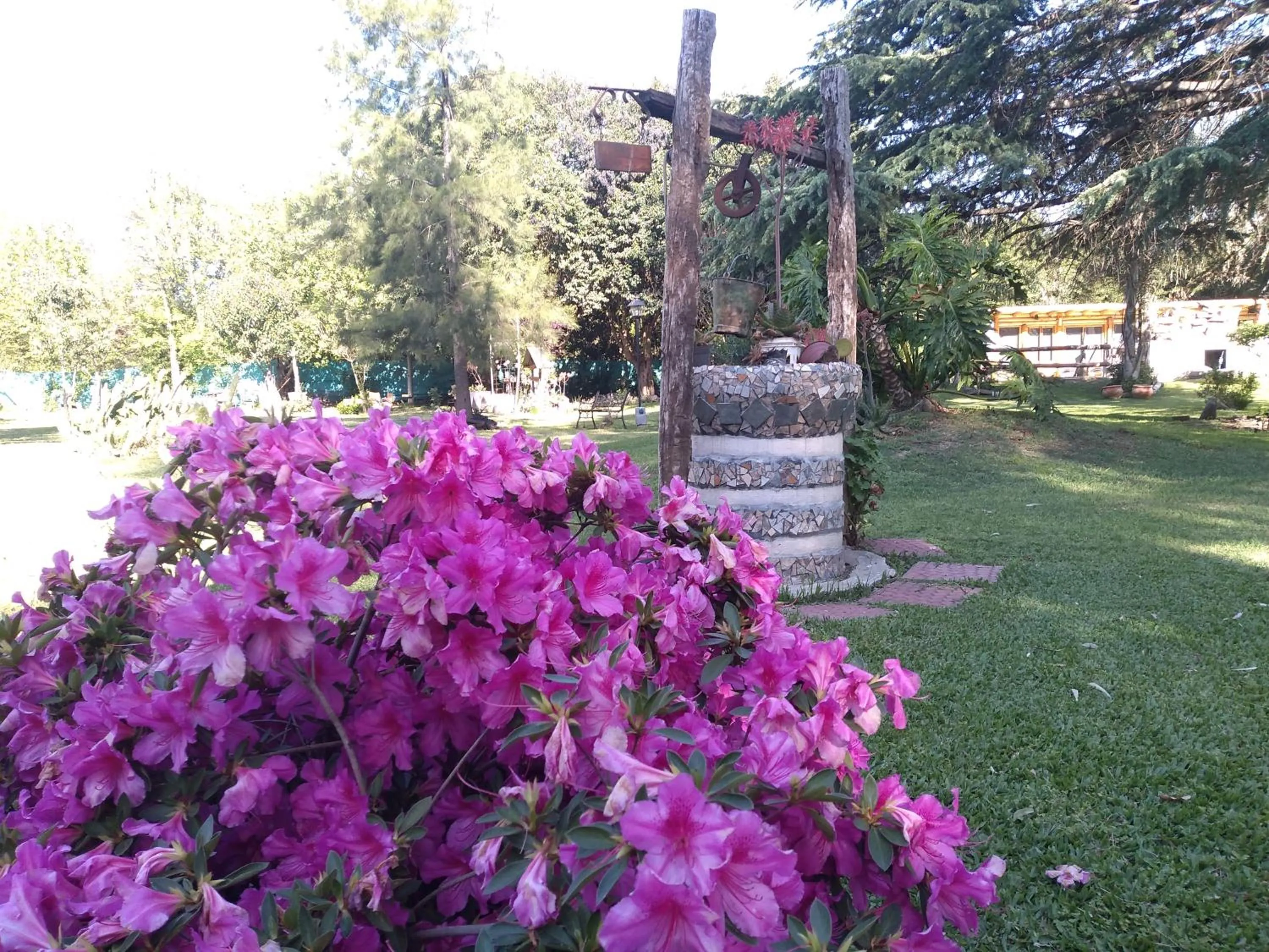 Garden view in Pualy Resort & Spa