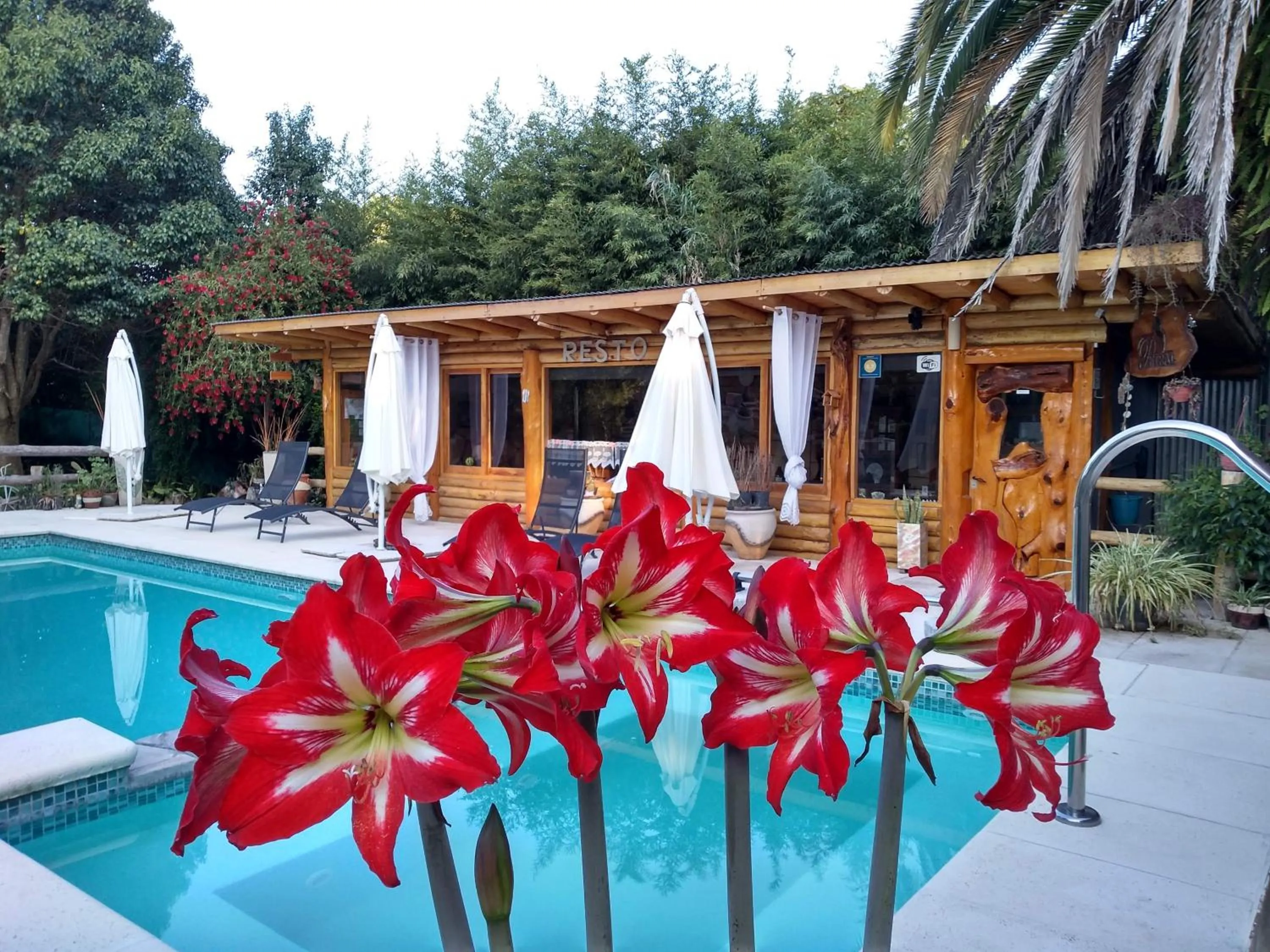 Solarium in Pualy Resort & Spa