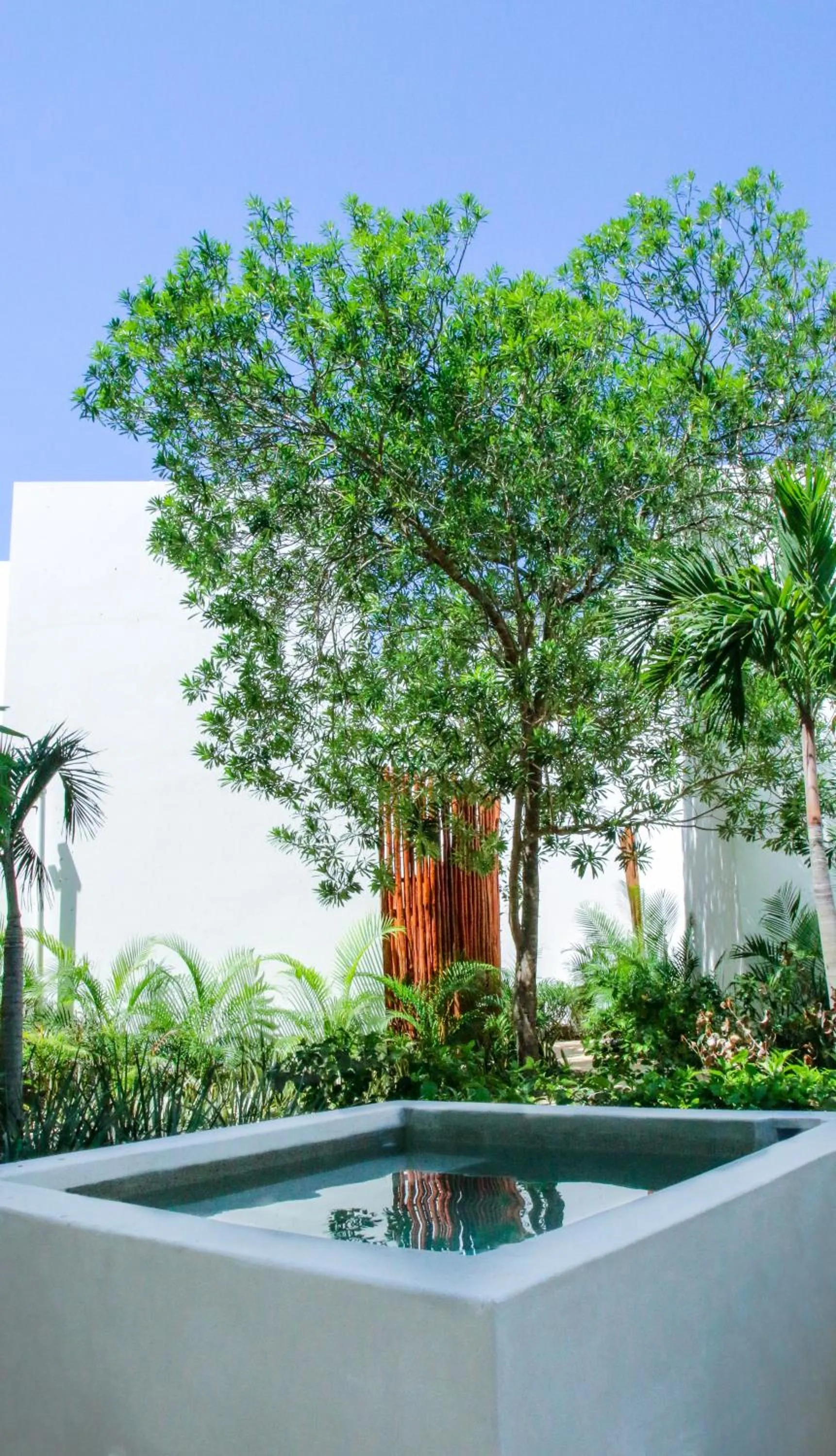 Swimming pool in Anah Tulum