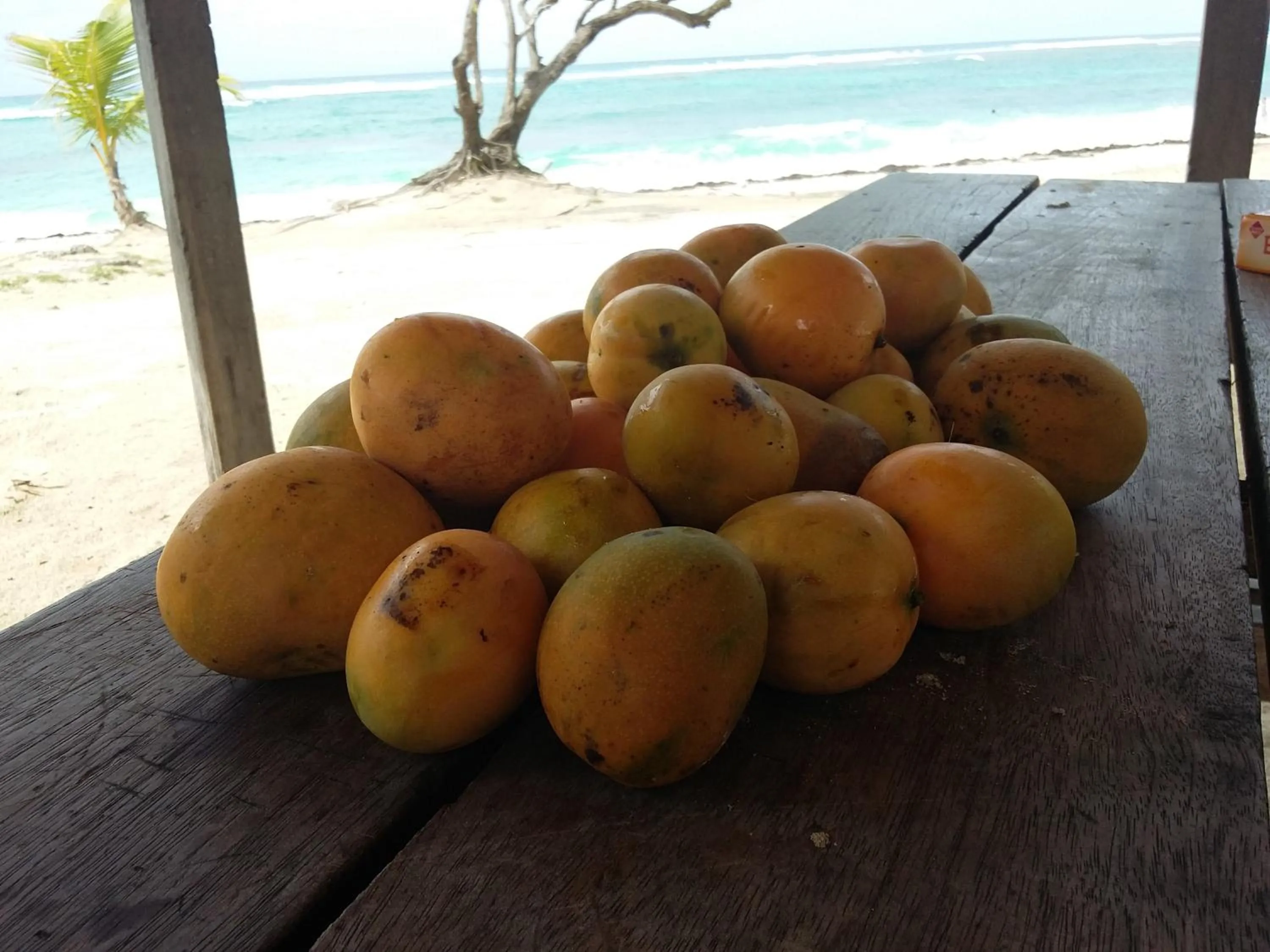 Appartement à la Résidence LA PLANTATION RESORT and SPA