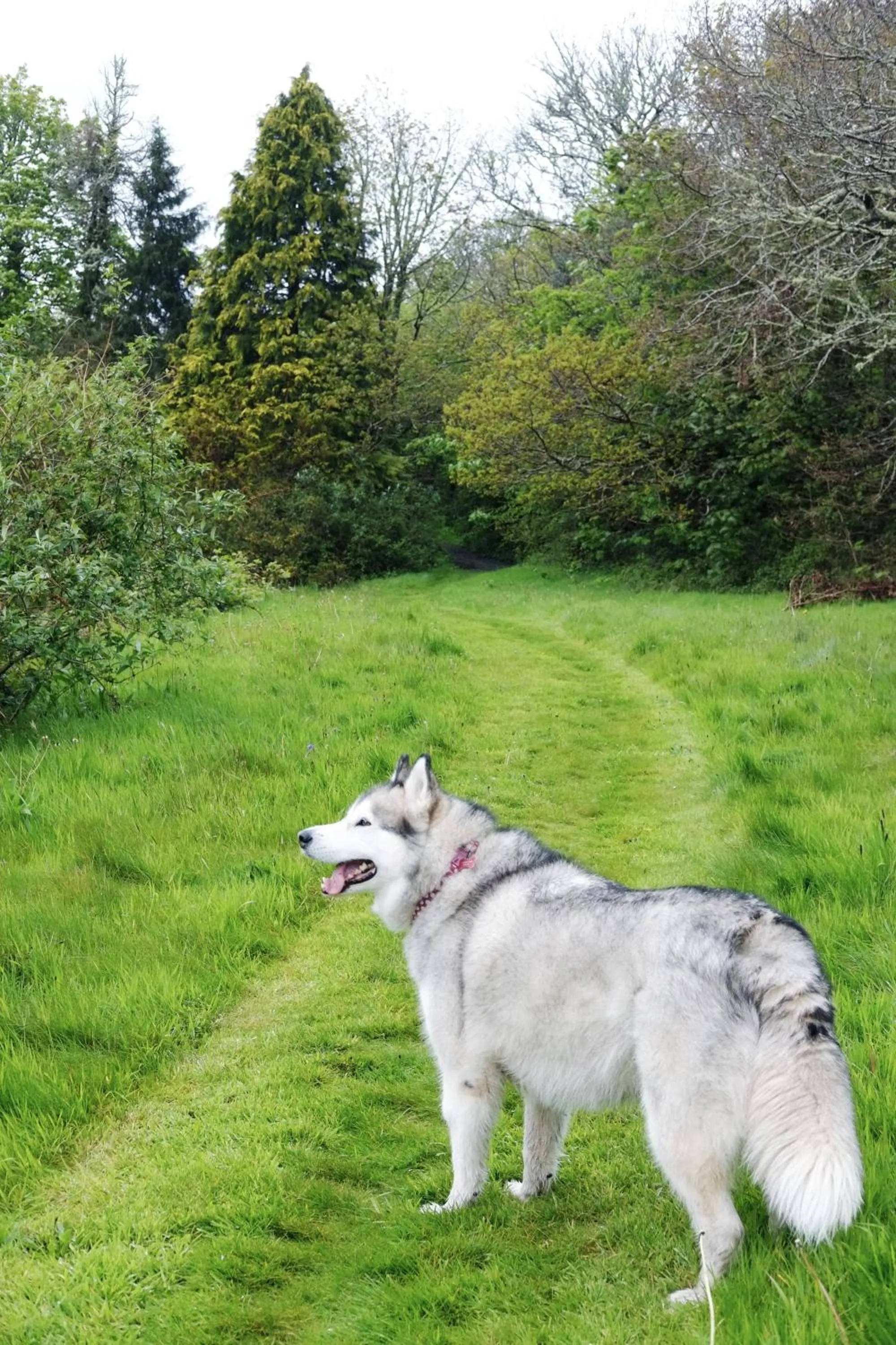 Garden in The Valley