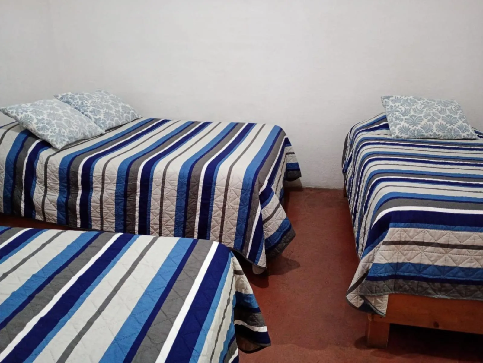 Bed in Pension Baja Paradise
