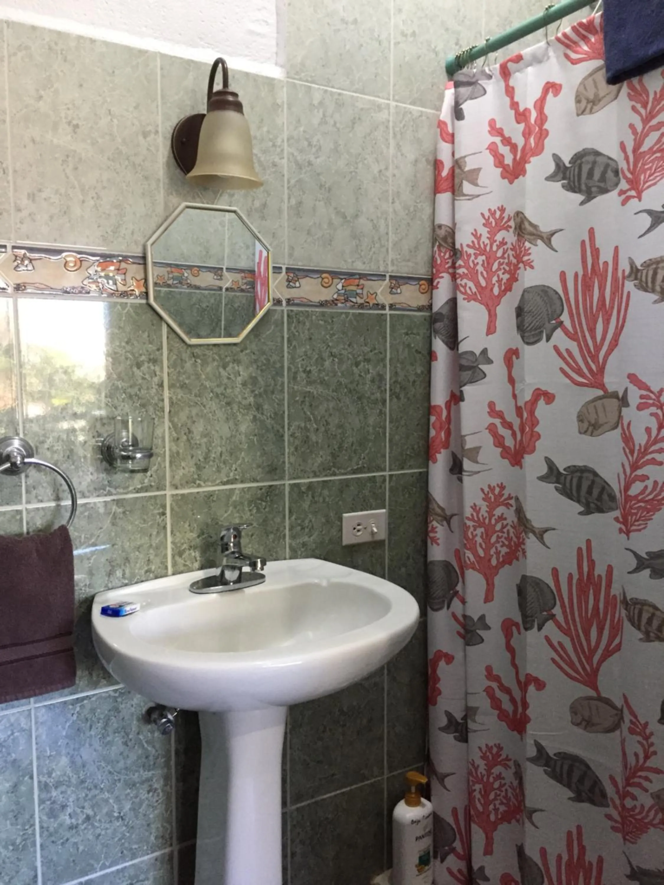 Bathroom in Pension Baja Paradise