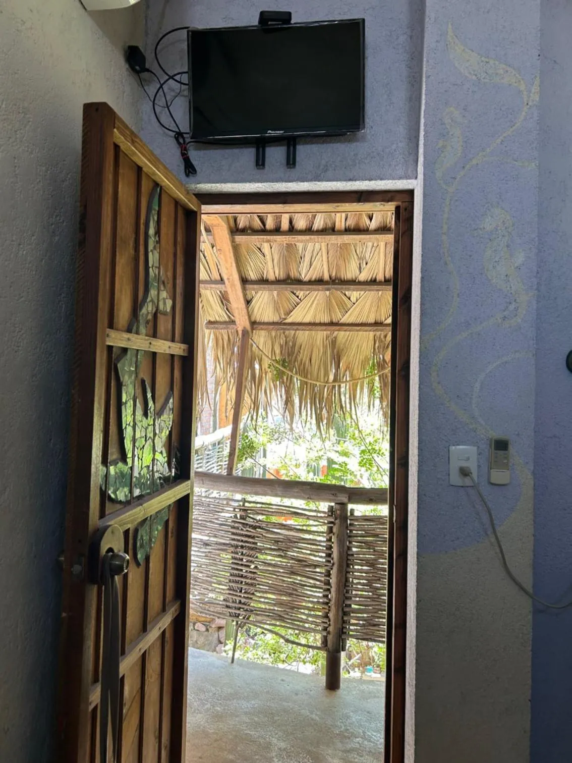Garden view in Pension Baja Paradise
