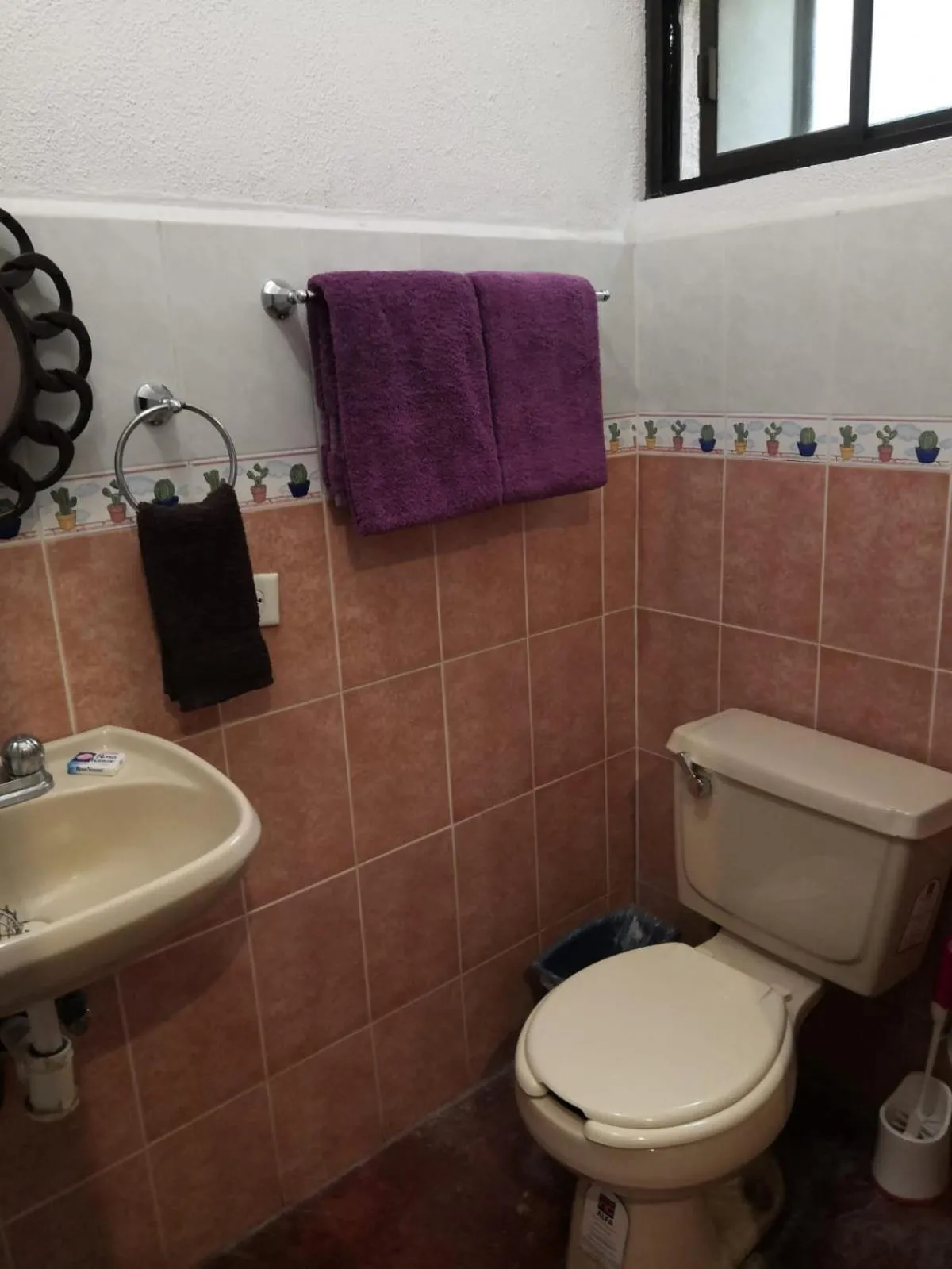 Bathroom in Pension Baja Paradise