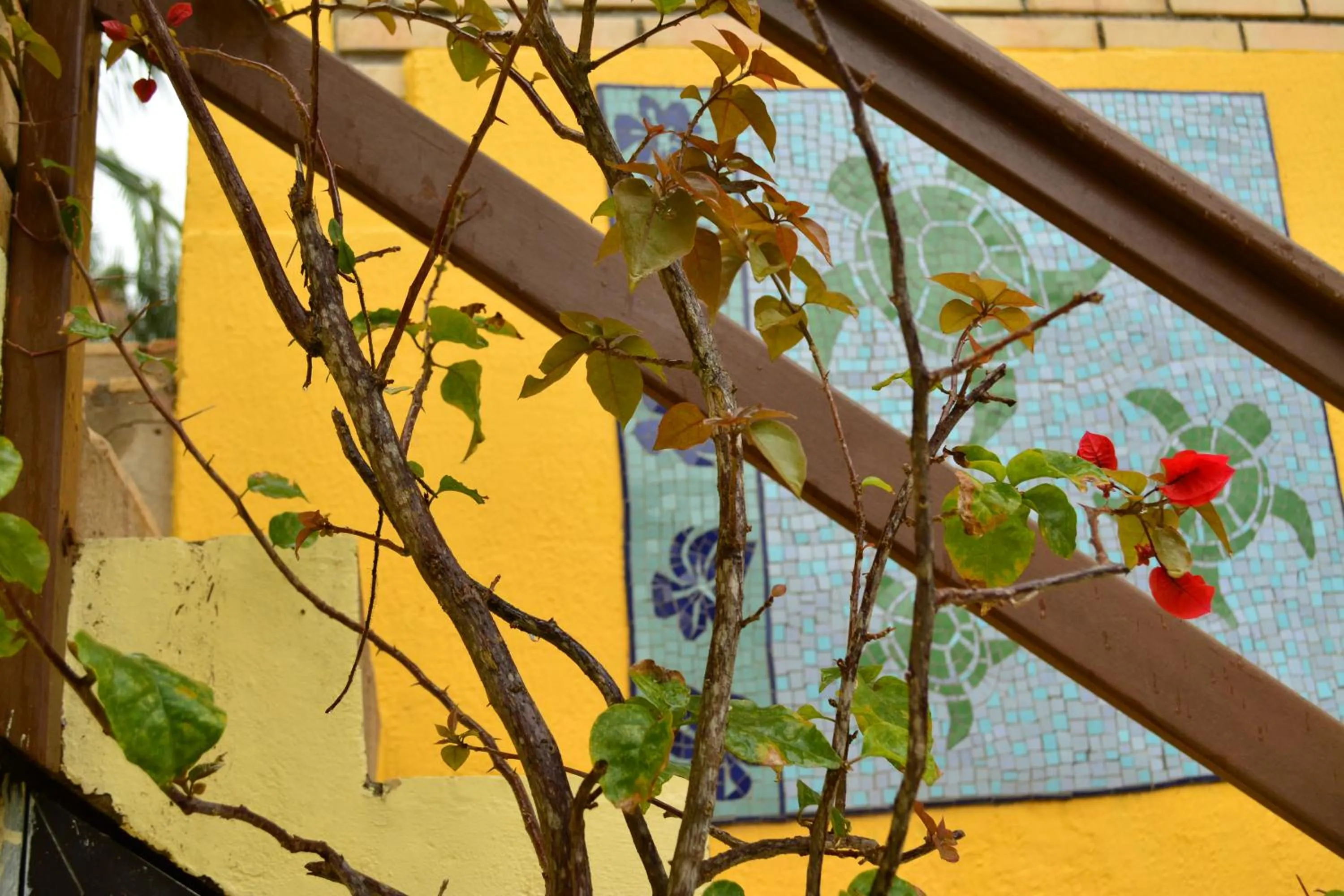 Garden in Apartamentos Villa Porto do Sol