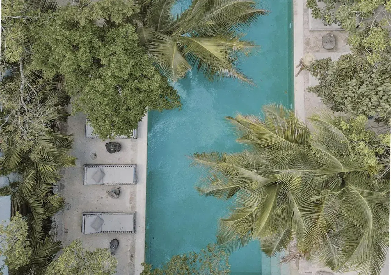 Bird's eye view in Una Vida Bird's eye view in Una Vida