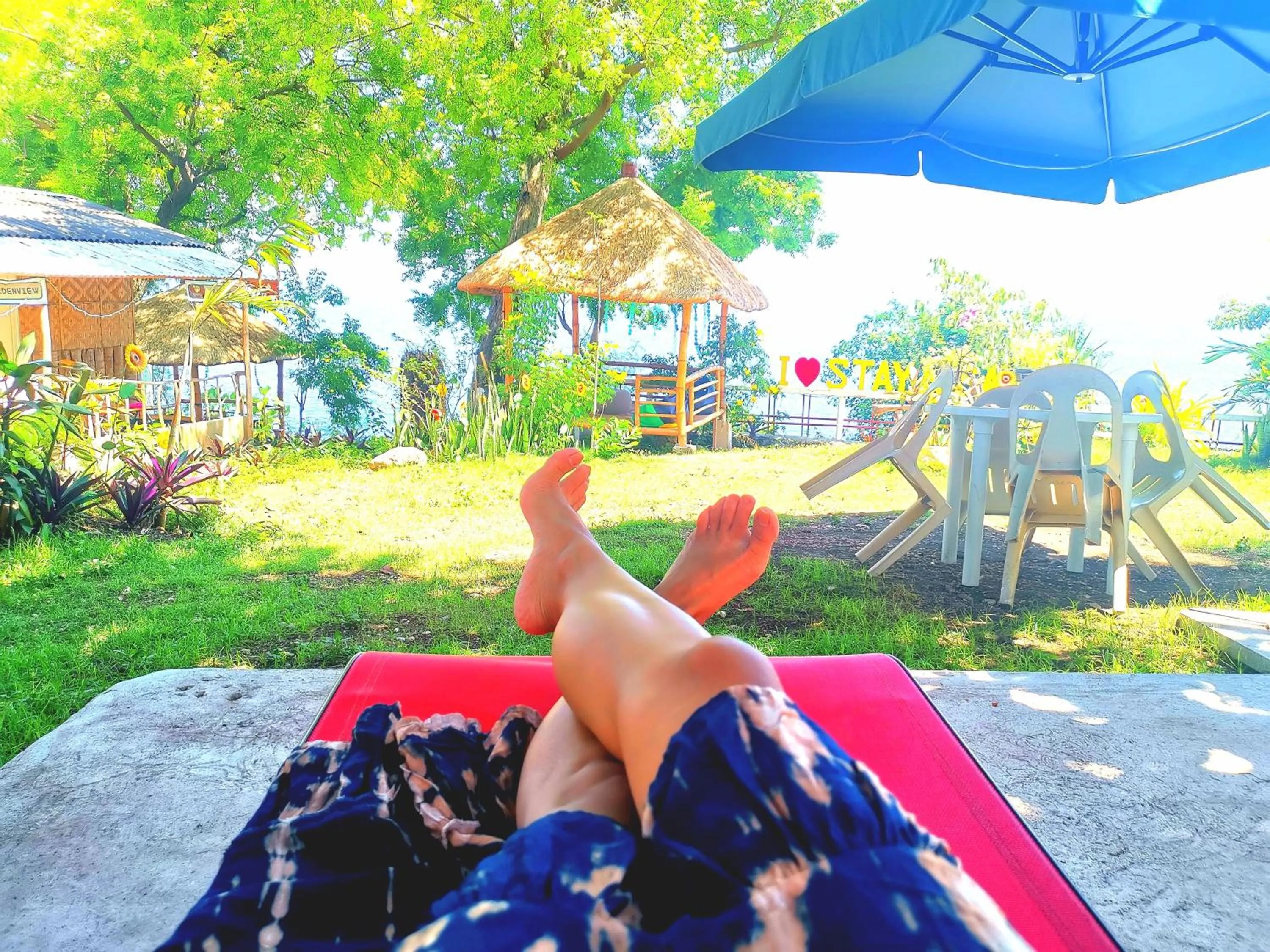 Garden in Stay N Save B&B