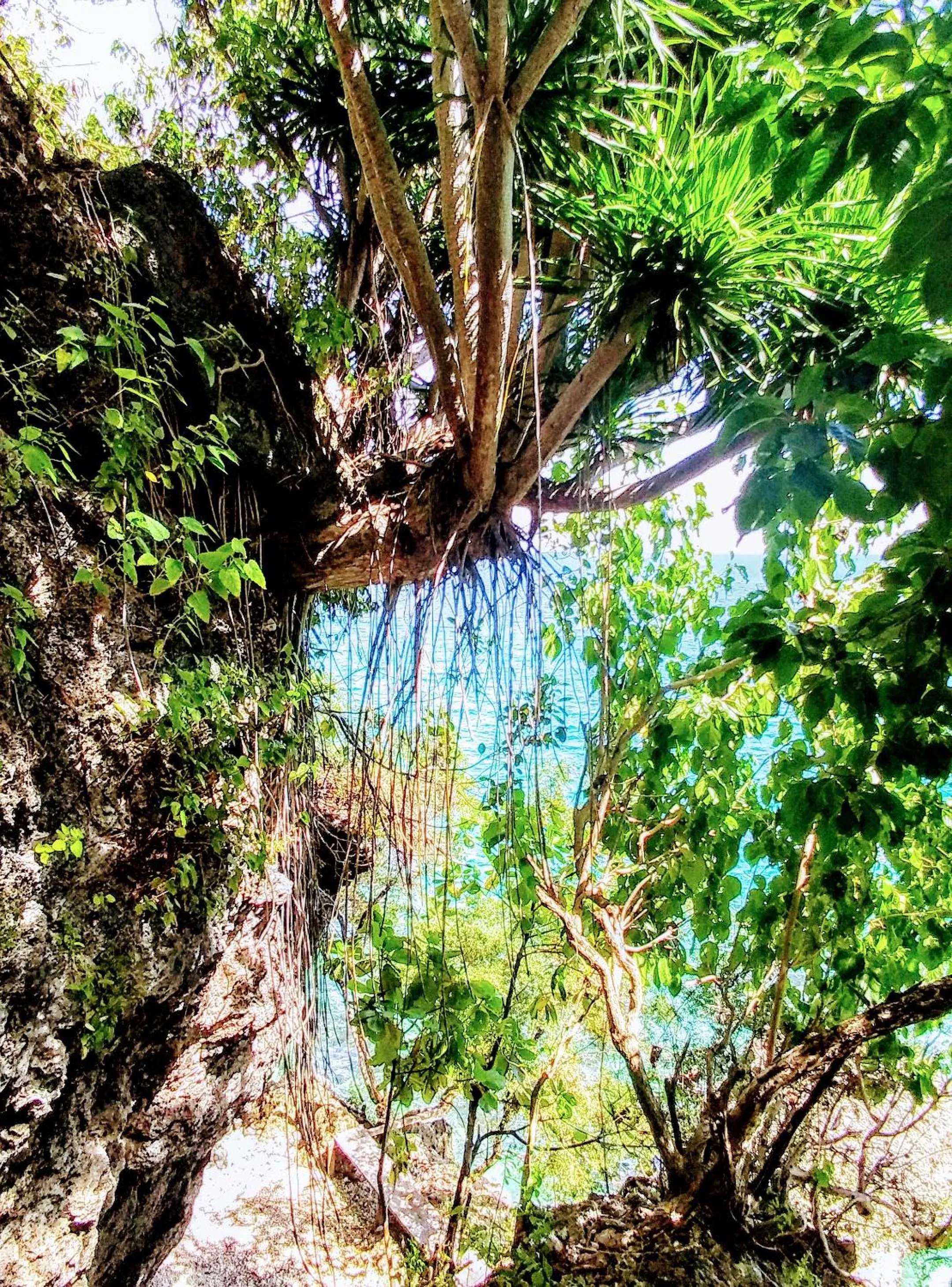 Natural landscape in Stay N Save B&B