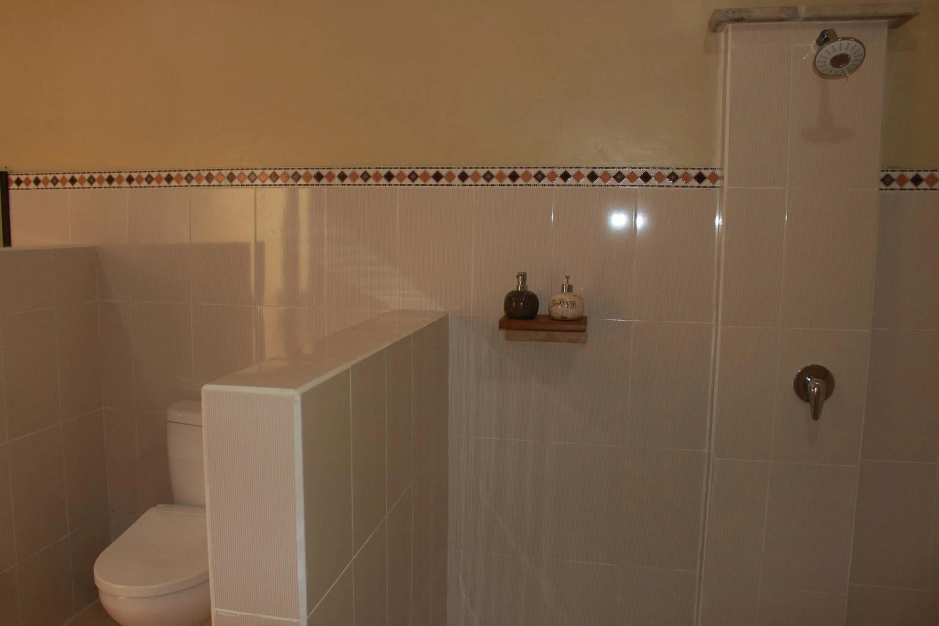 Shower in Taman Padi Villa