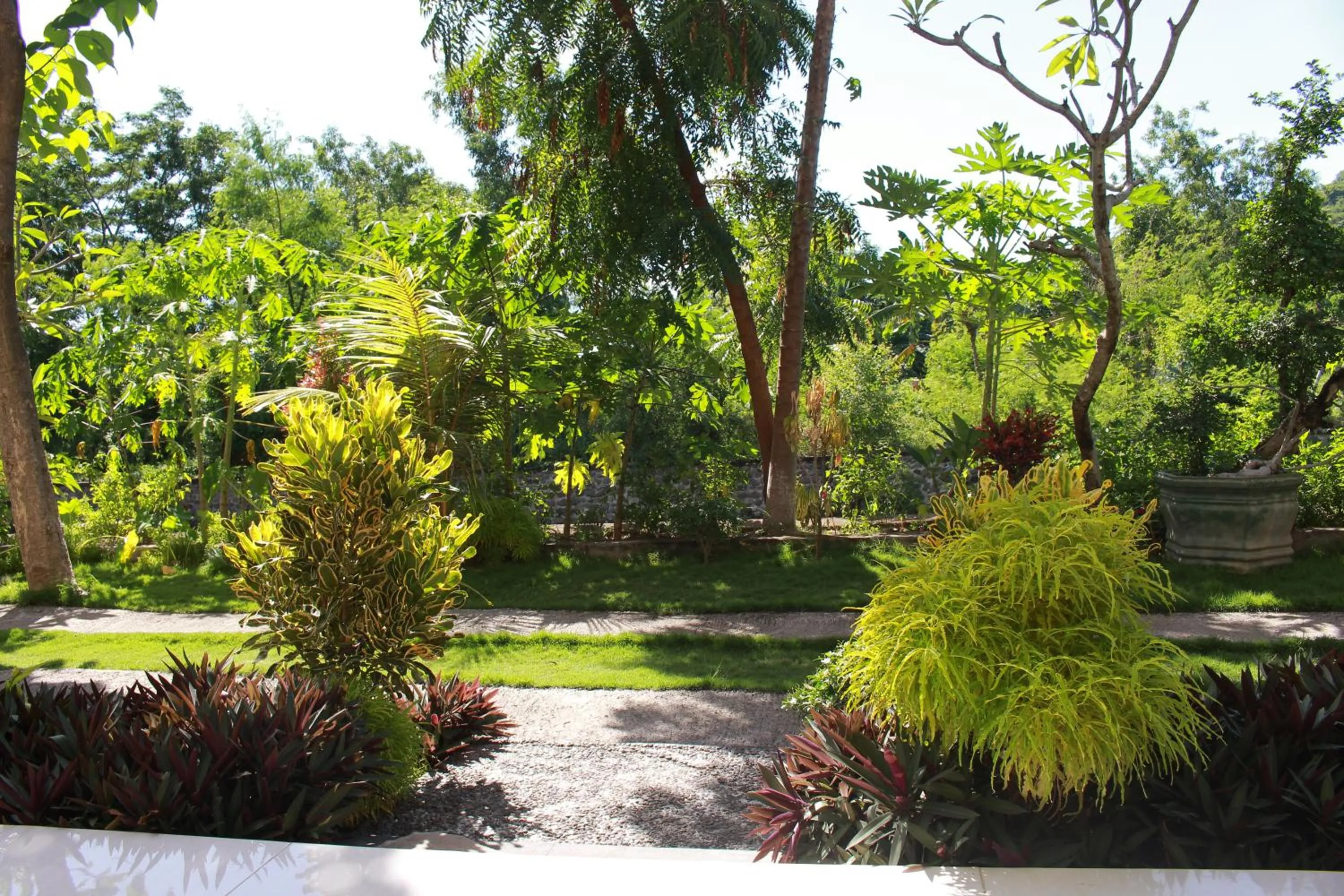 Day in Taman Padi Villa