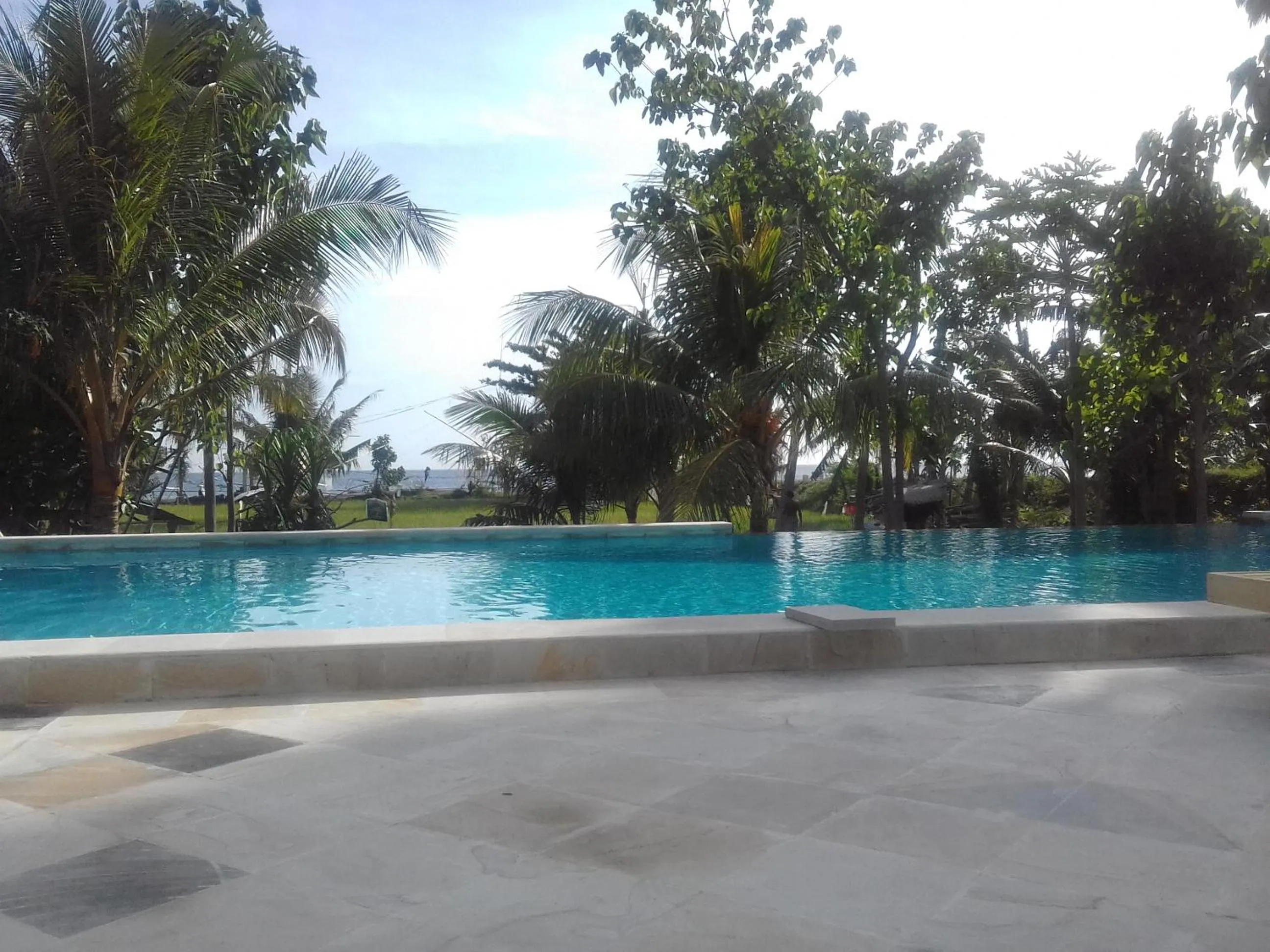 Swimming pool in Taman Padi Villa