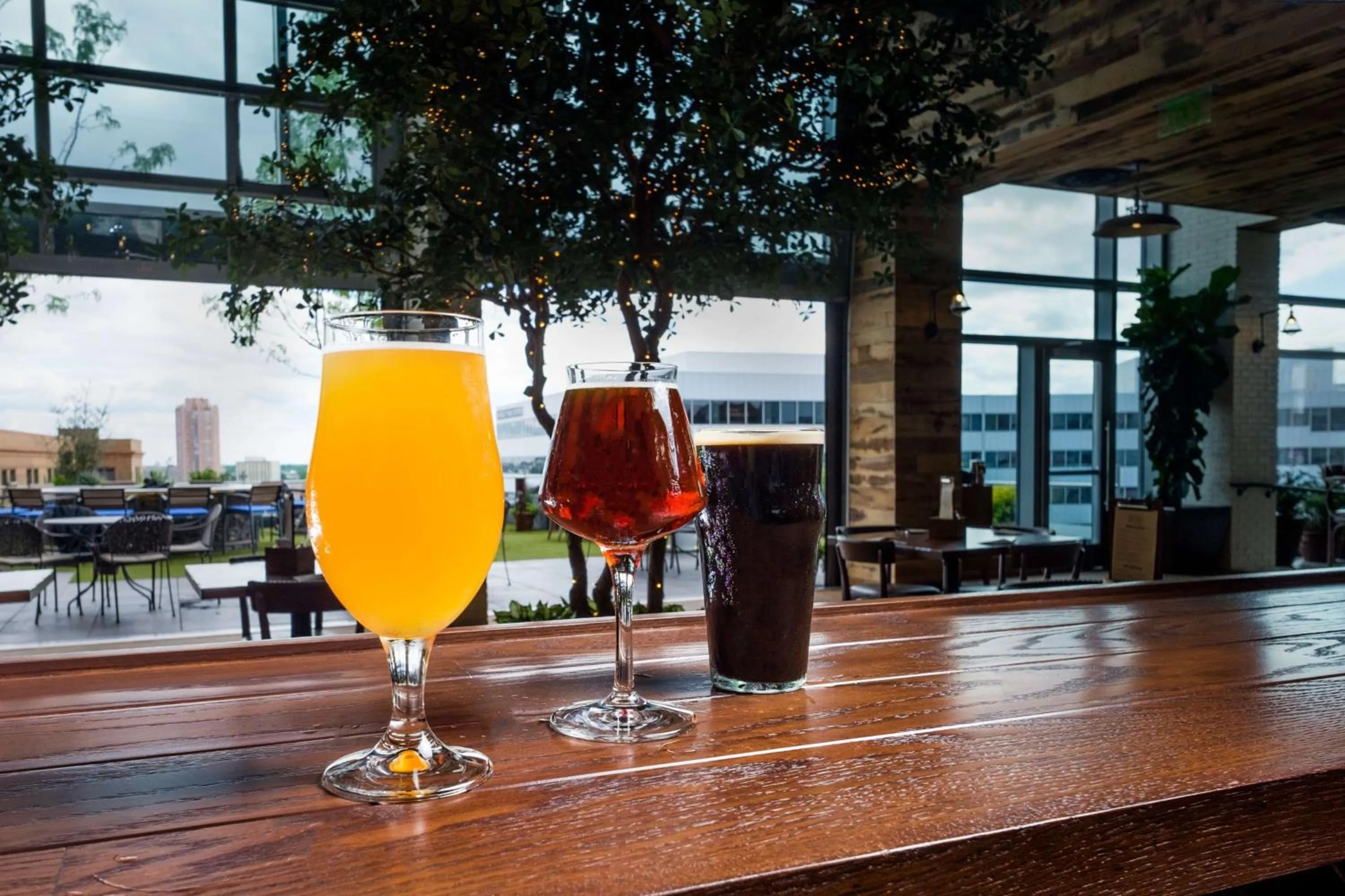 Lounge or bar in Hilton Norfolk The Main