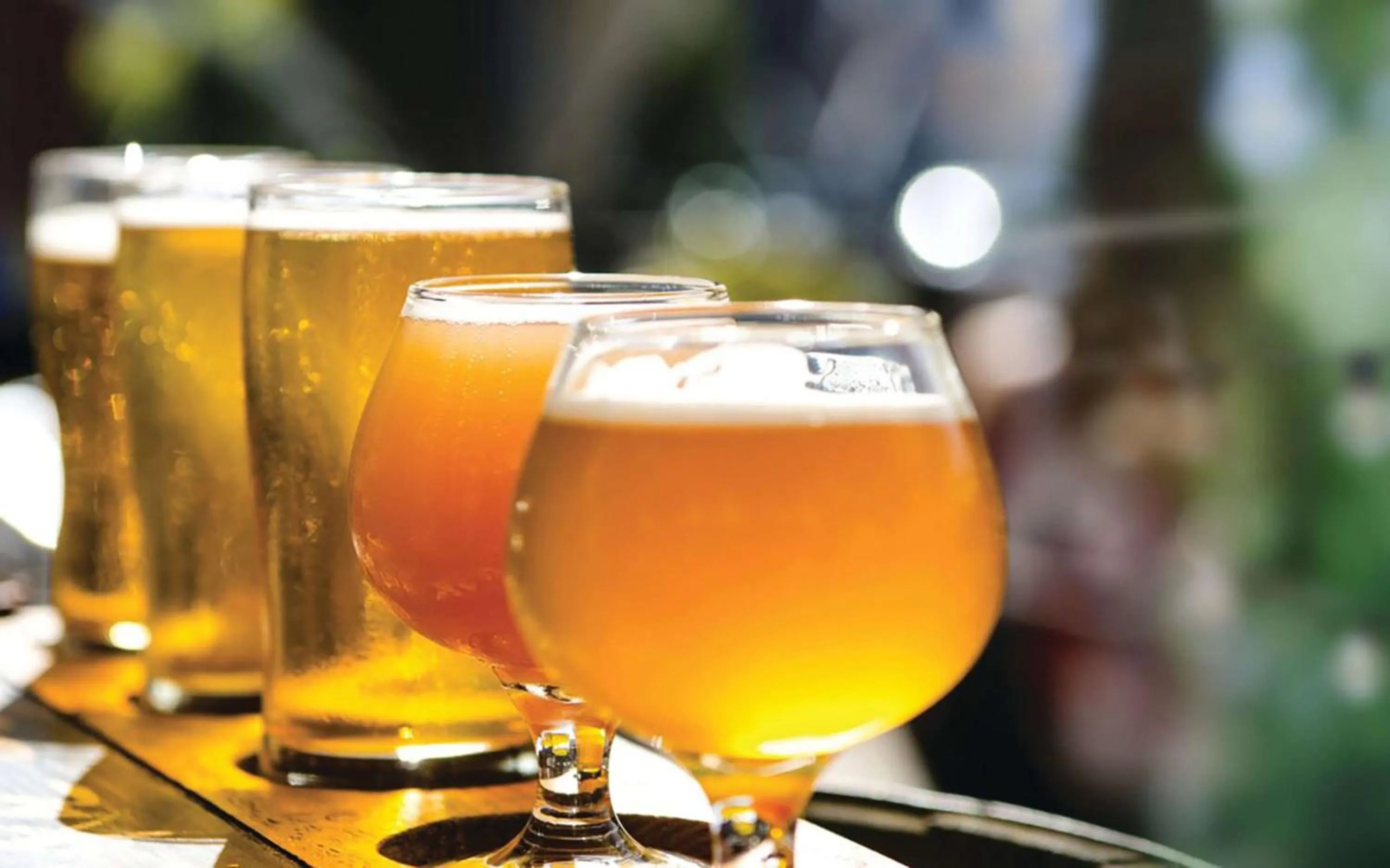 Lounge or bar in Hilton Norfolk The Main