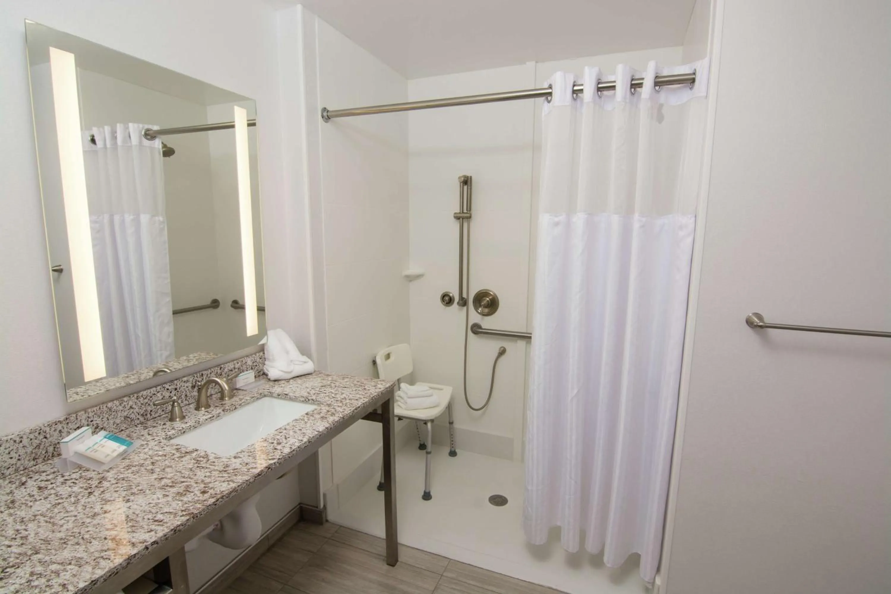 Bathroom in Hilton Garden Inn Tampa Suncoast Parkway