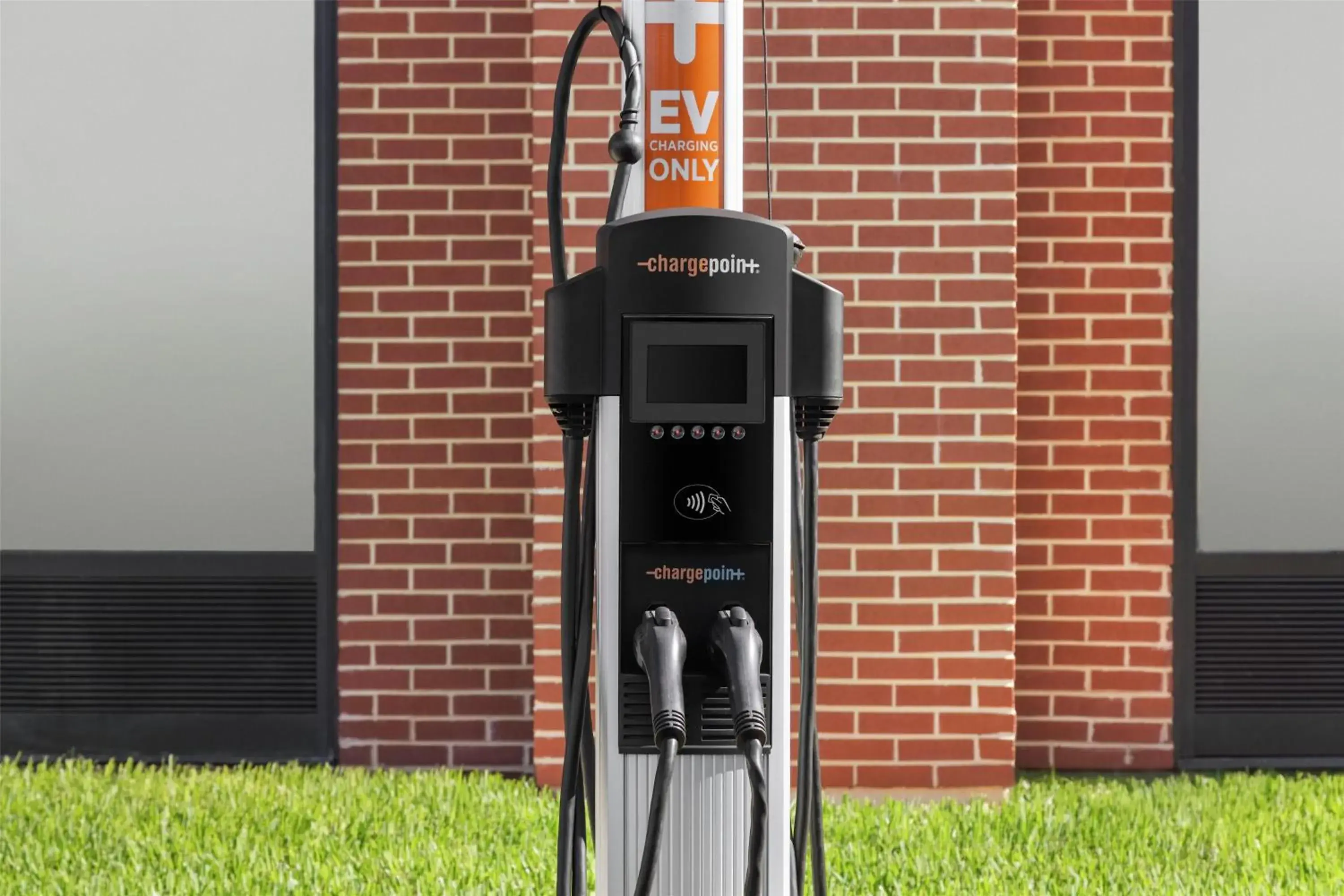 Property building in Hampton Inn & Suites by Hilton Tampa Busch Gardens Area Property building in Hampton Inn & Suites by Hilton Tampa Busch Gardens Area