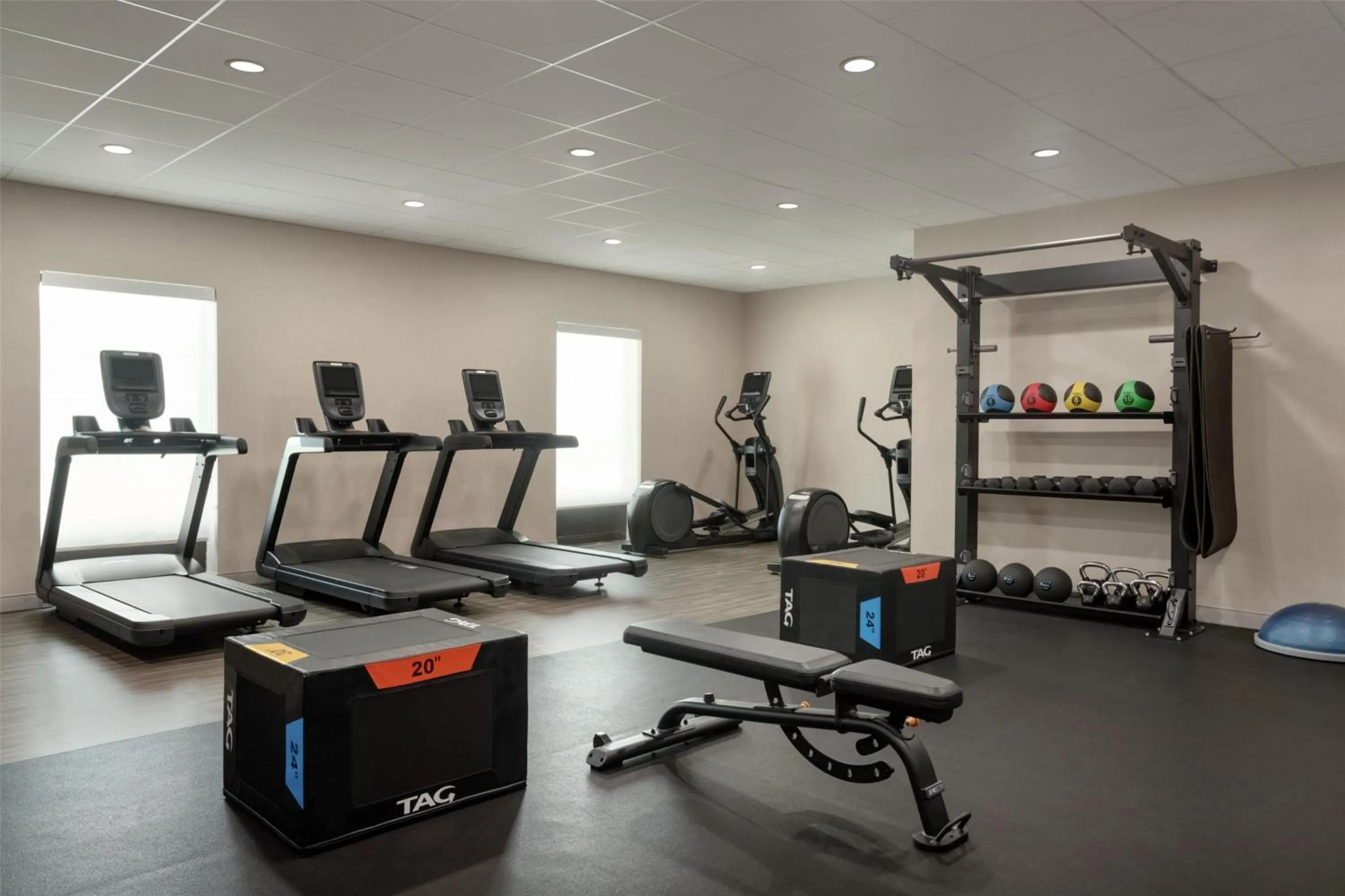 Fitness centre/facilities in Hampton Inn & Suites by Hilton Tampa Busch Gardens Area