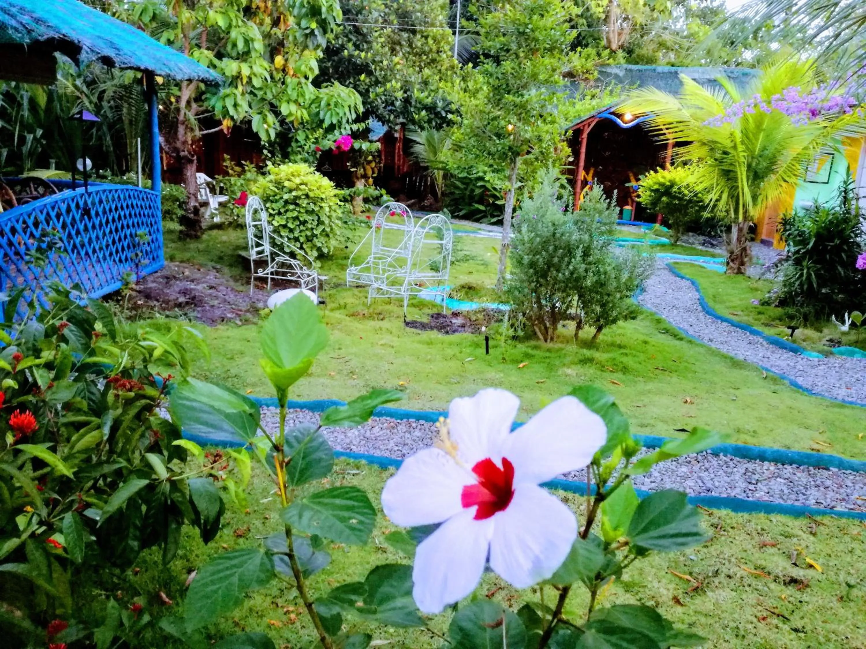 Moalboal Bamboo Guest House