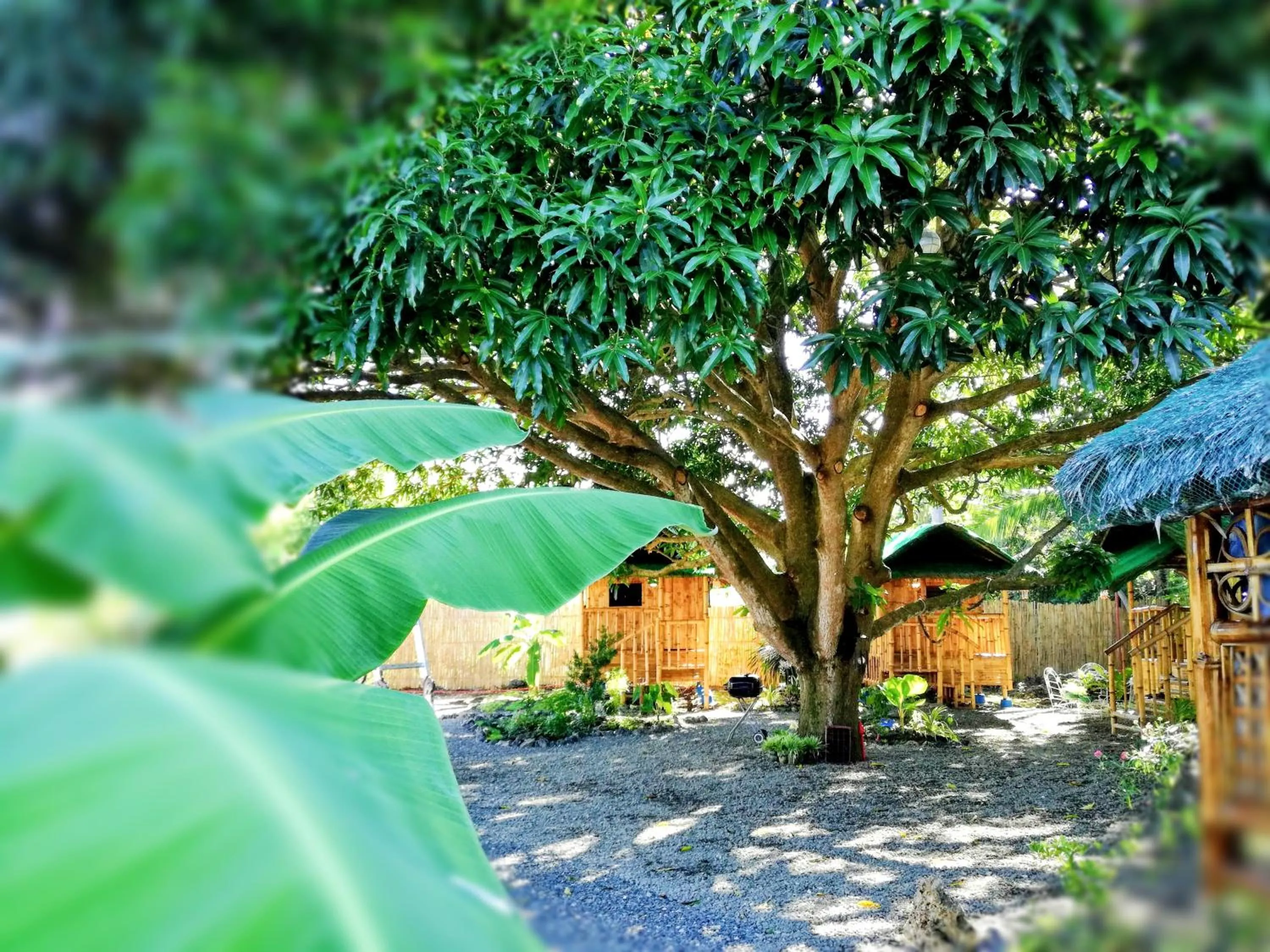 Moalboal Bamboo Guest House