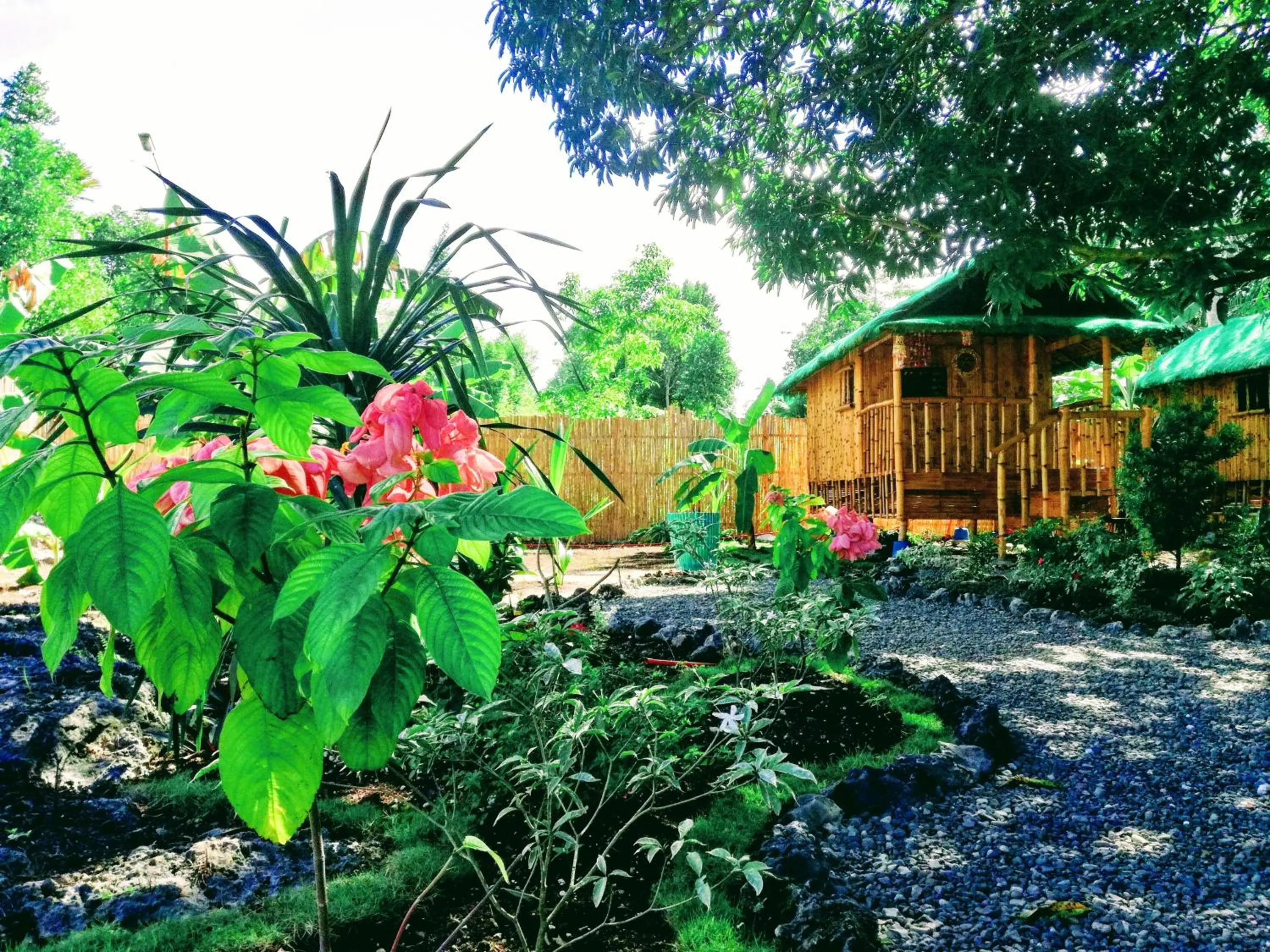 Moalboal Bamboo Guest House