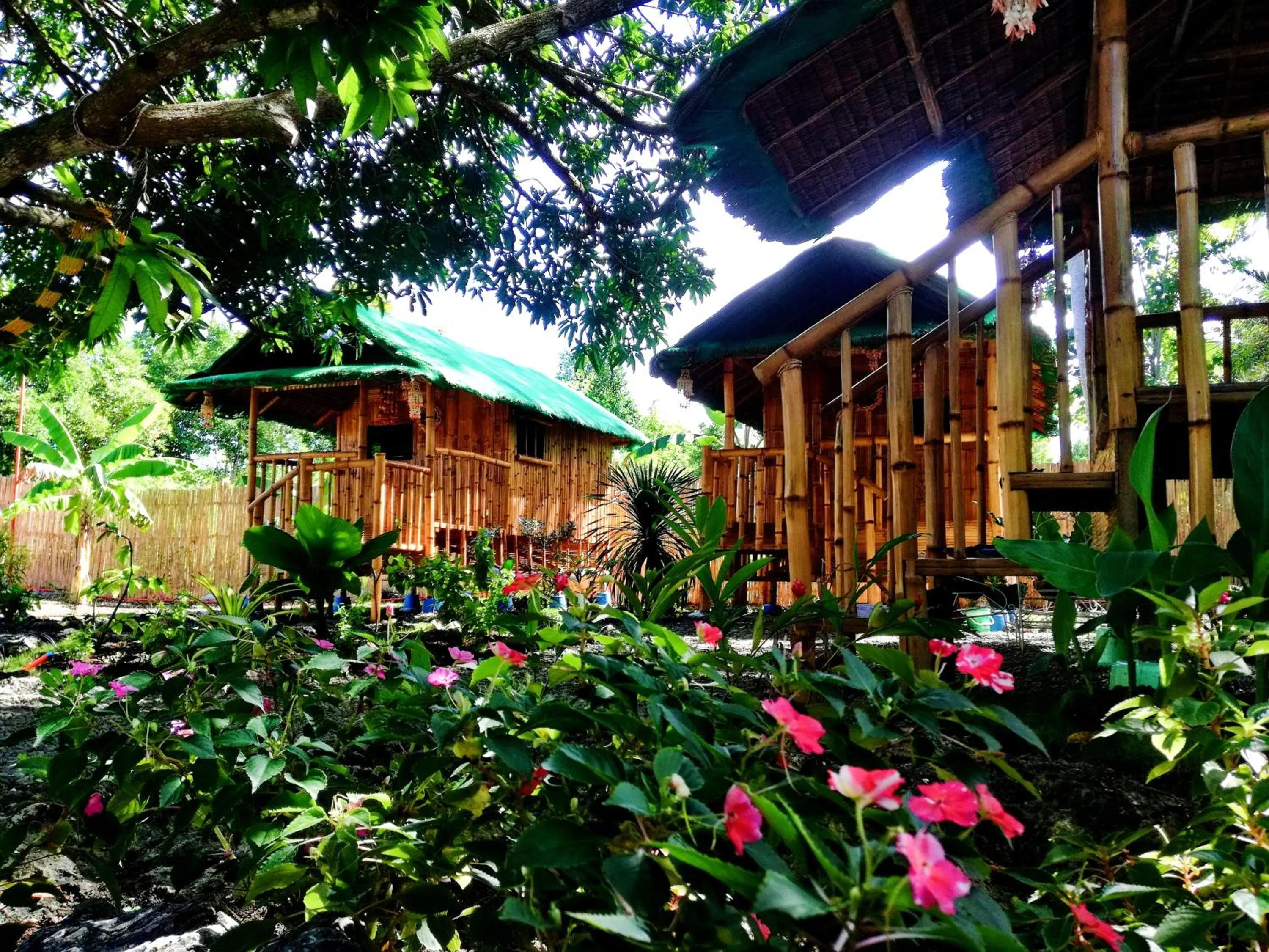 Moalboal Bamboo Guest House
