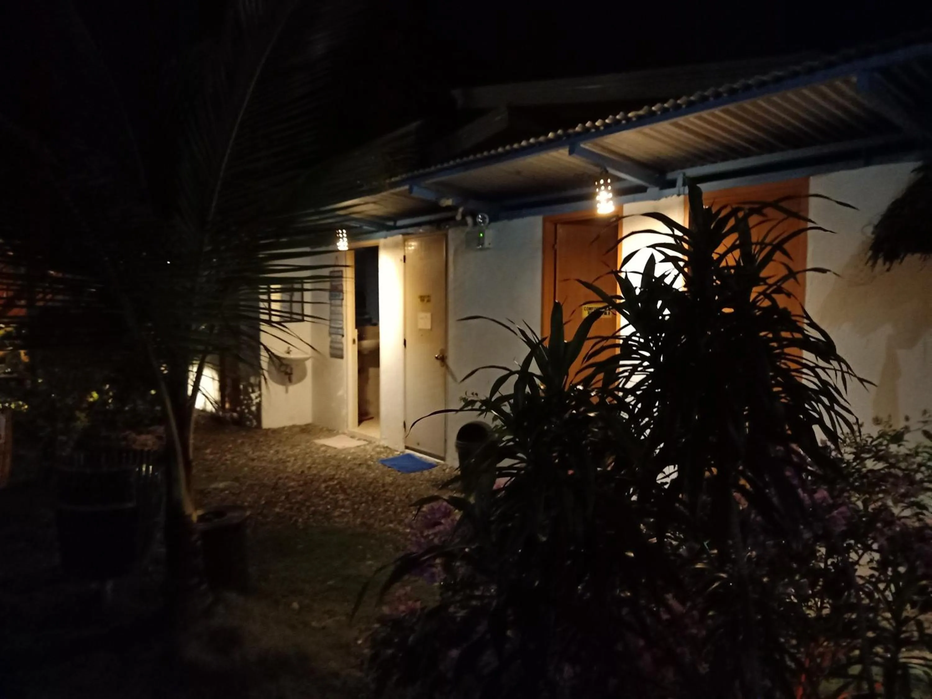 Garden view in Moalboal Bamboo Guest House