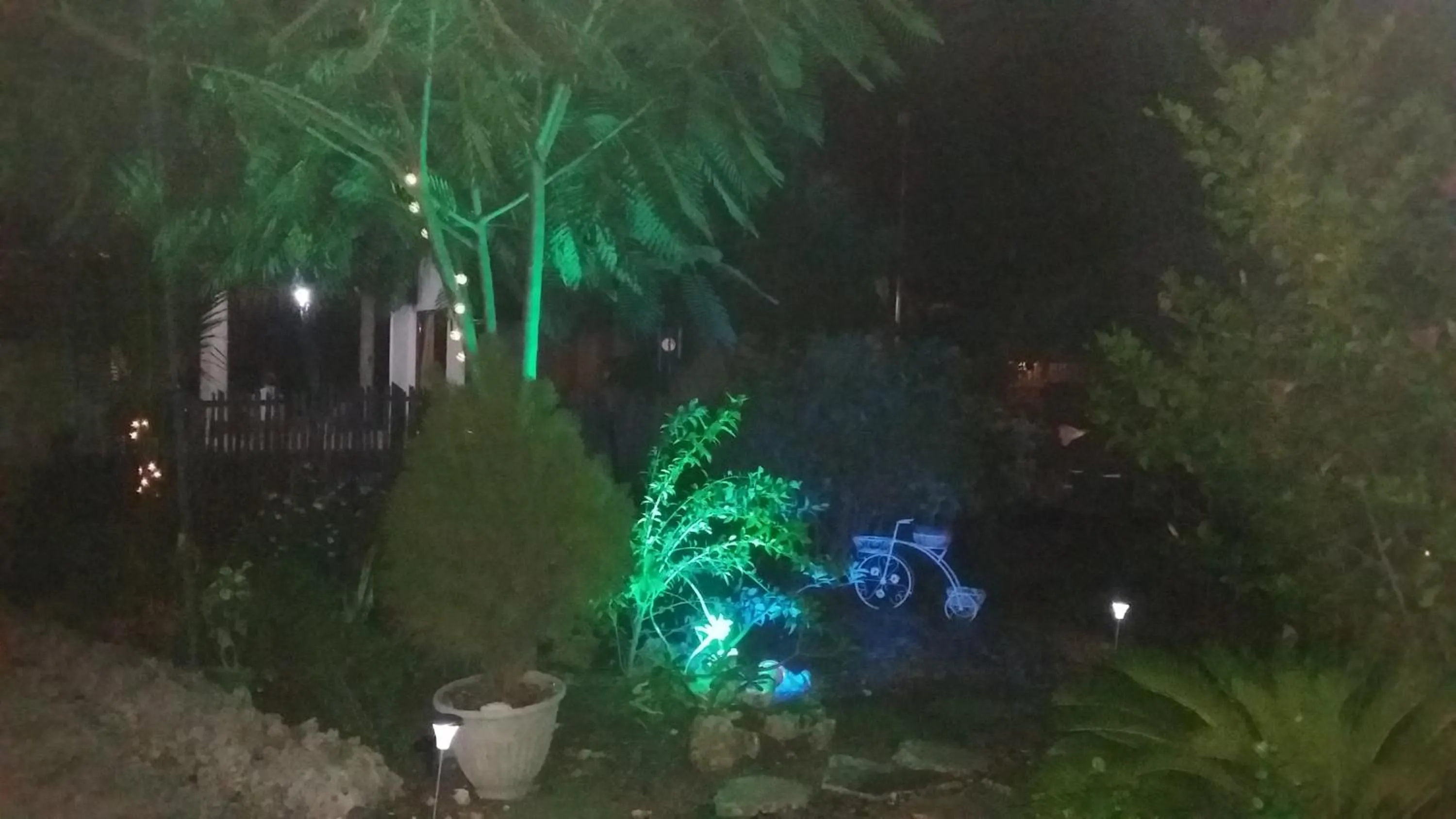 Other in Moalboal Bamboo Guest House