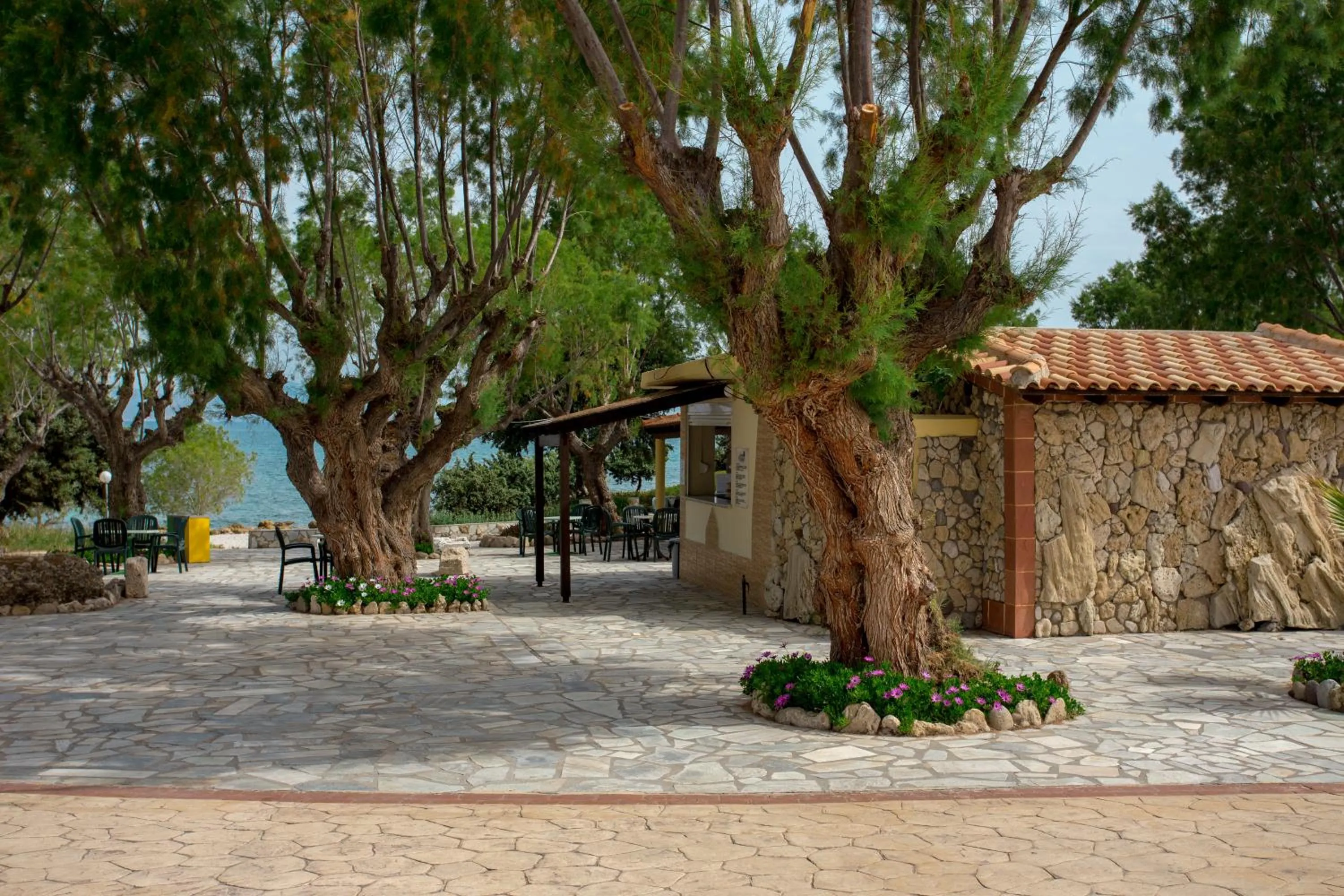 Lounge or bar in Eurovillage Achilleas Hotel