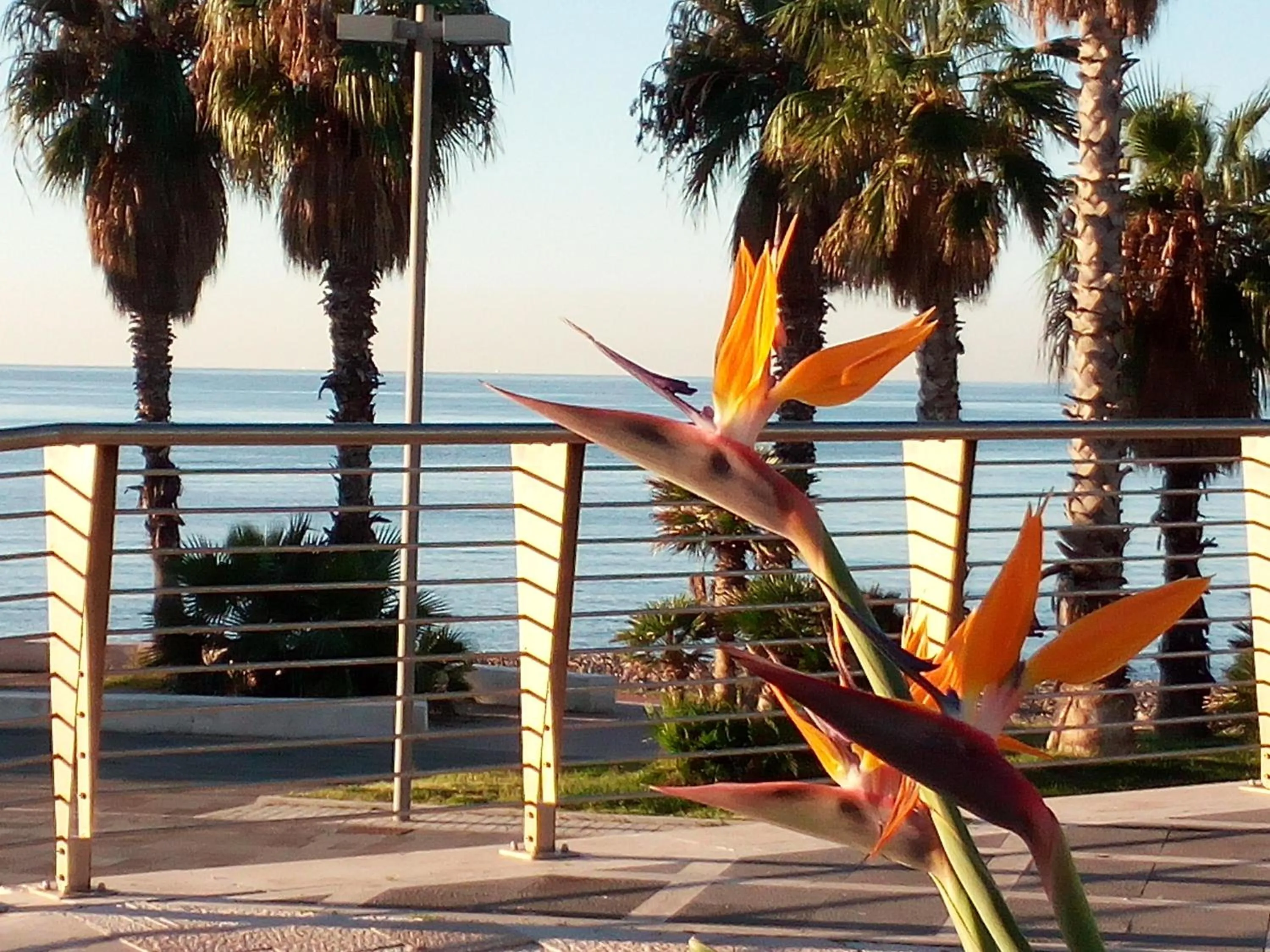 Beach in Residence Stendhal Guest House