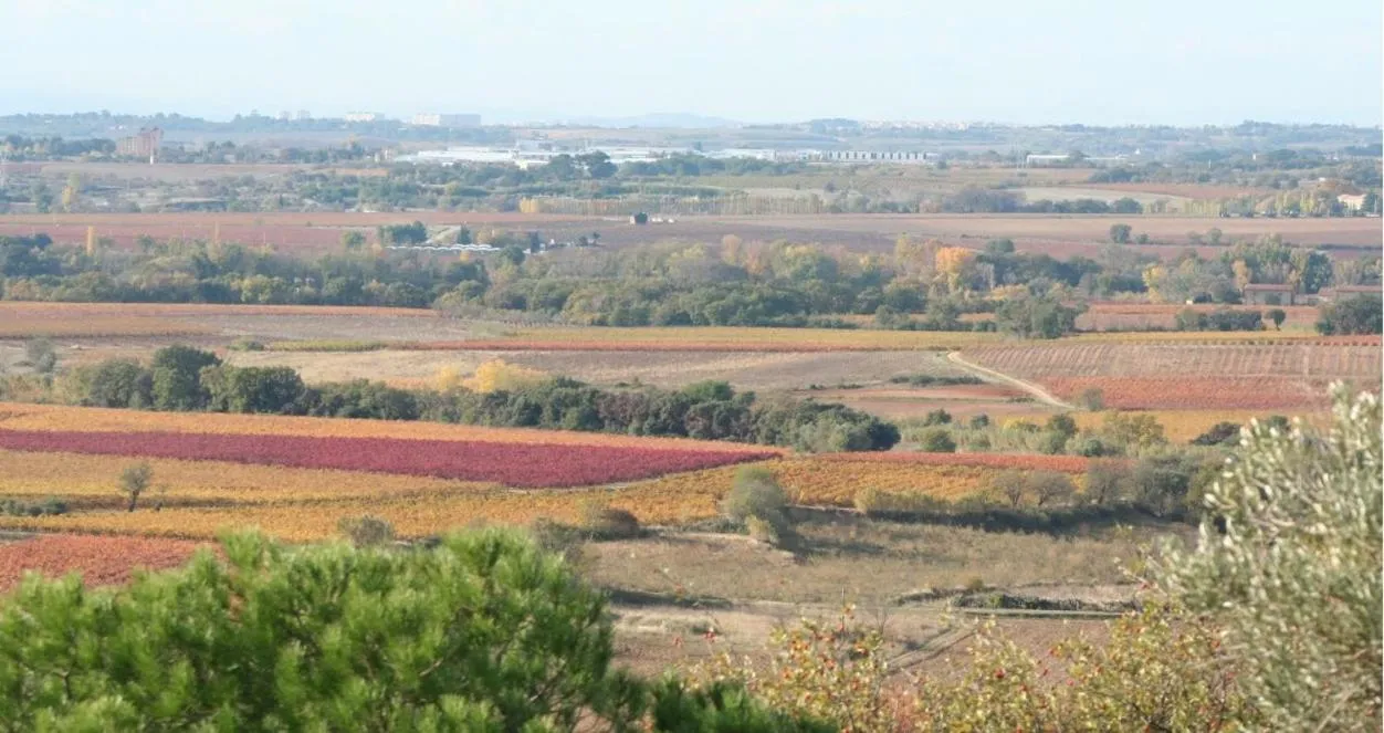 Day in L'ORANGERIE Chambres d'hotes de charme