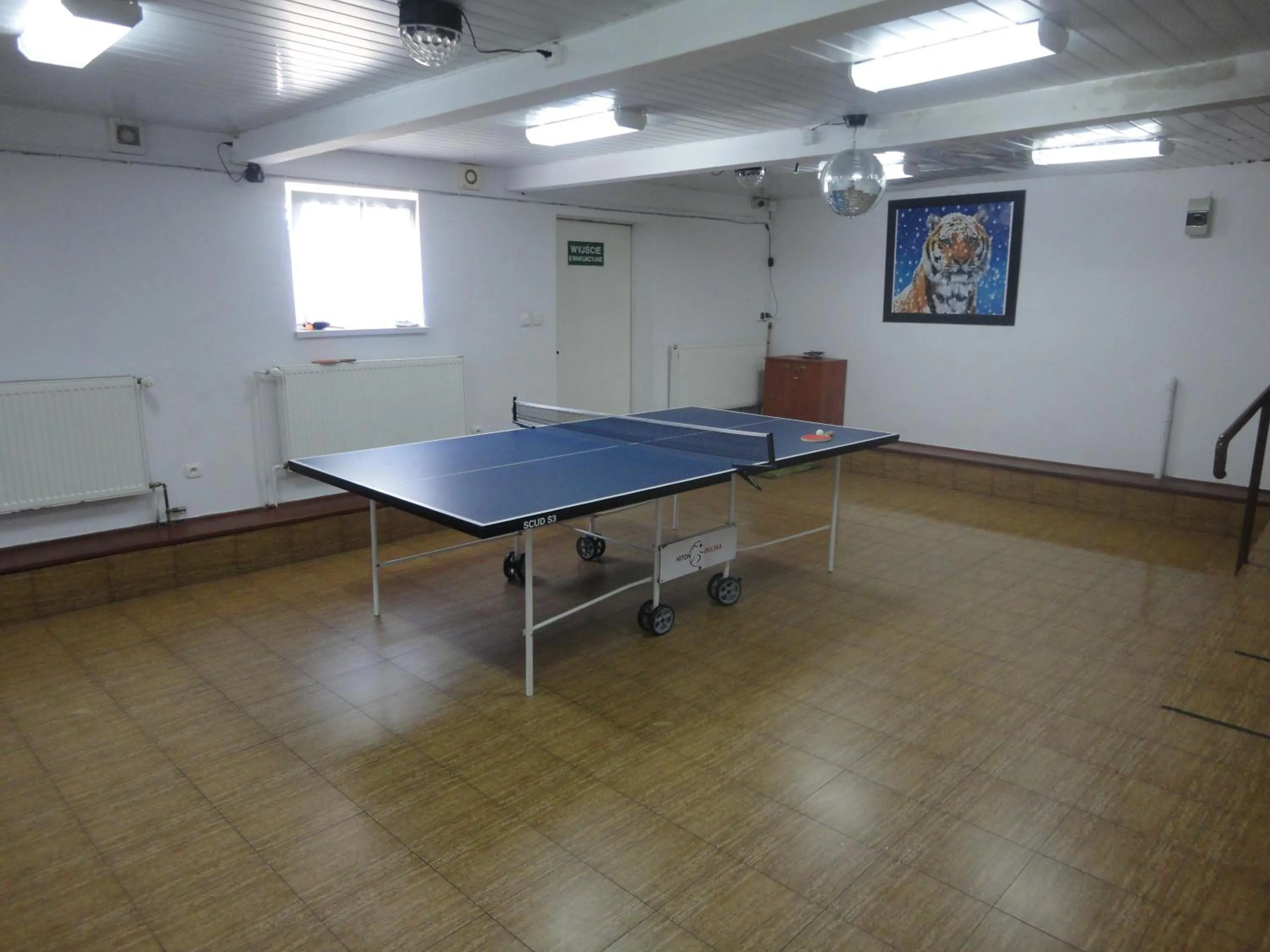 Table tennis in O.W.S. Strzecha
