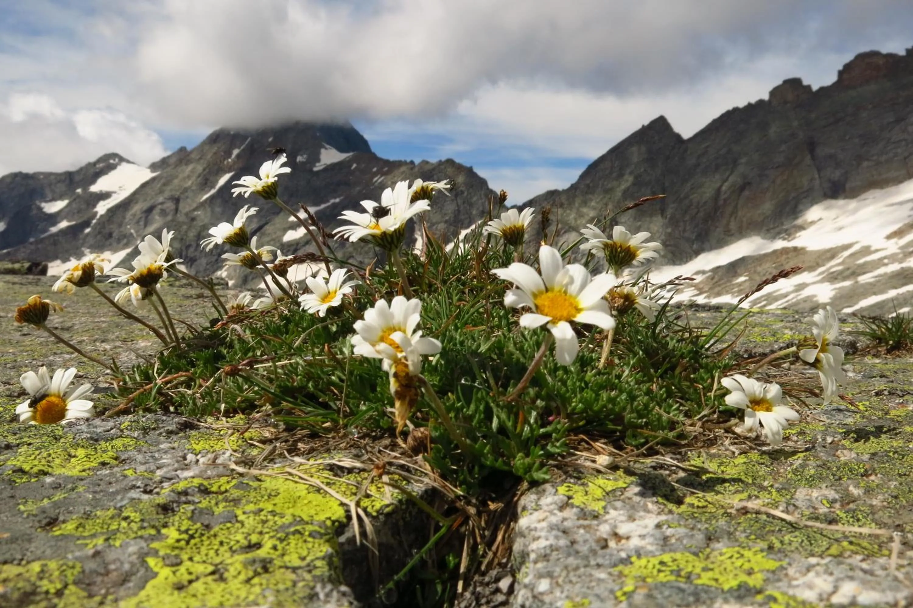 Natural landscape in Ferienwohnung Kainer