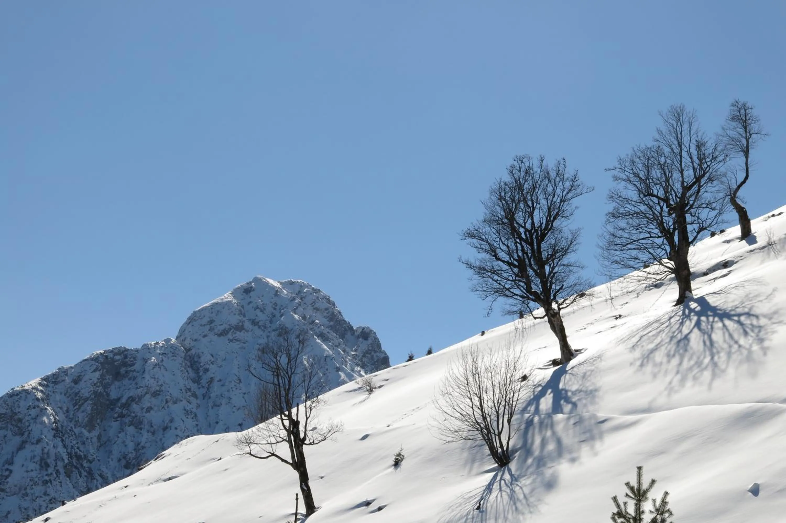 Natural landscape in Ferienwohnung Kainer