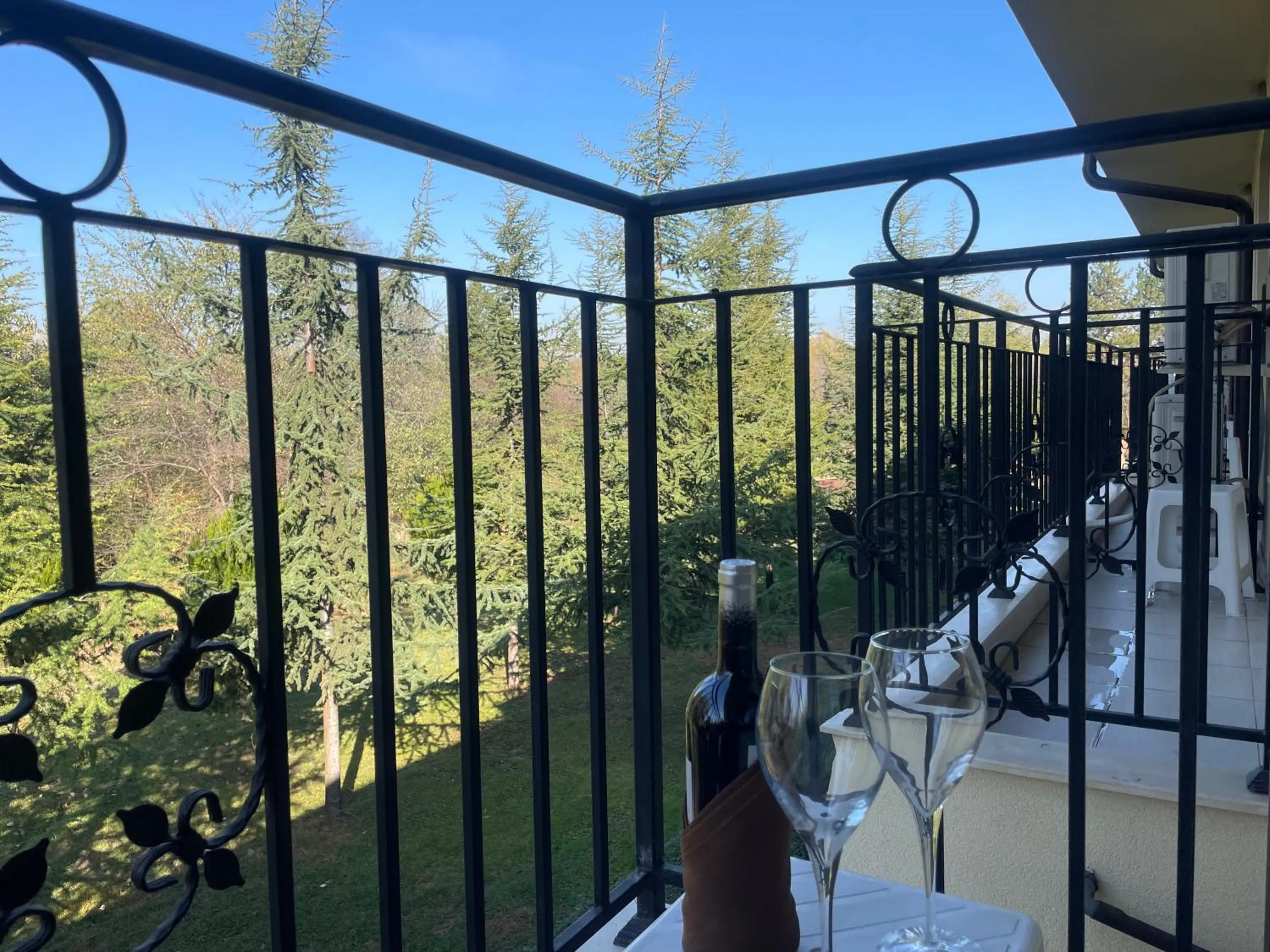 Patio in Hotel Ostrova