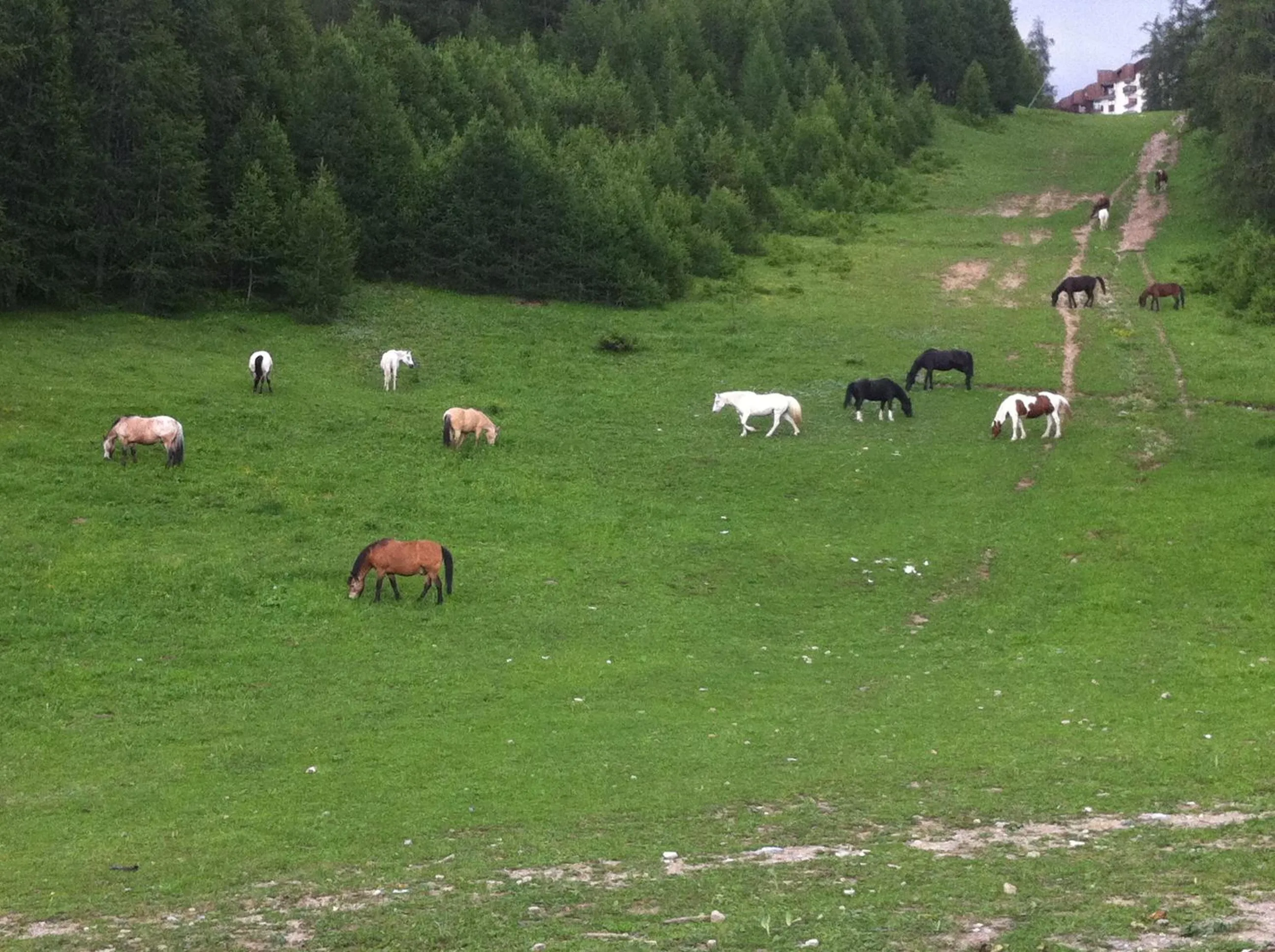 Horse-riding in Hotel La Portette