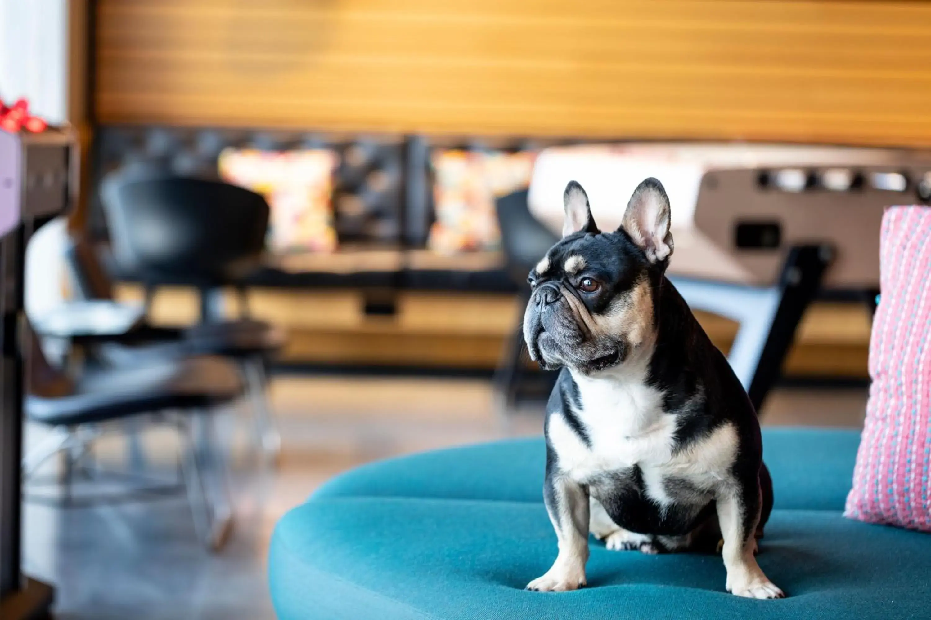 View (from property/room) in Moxy Aberdeen Airport View (from property/room) in Moxy Aberdeen Airport