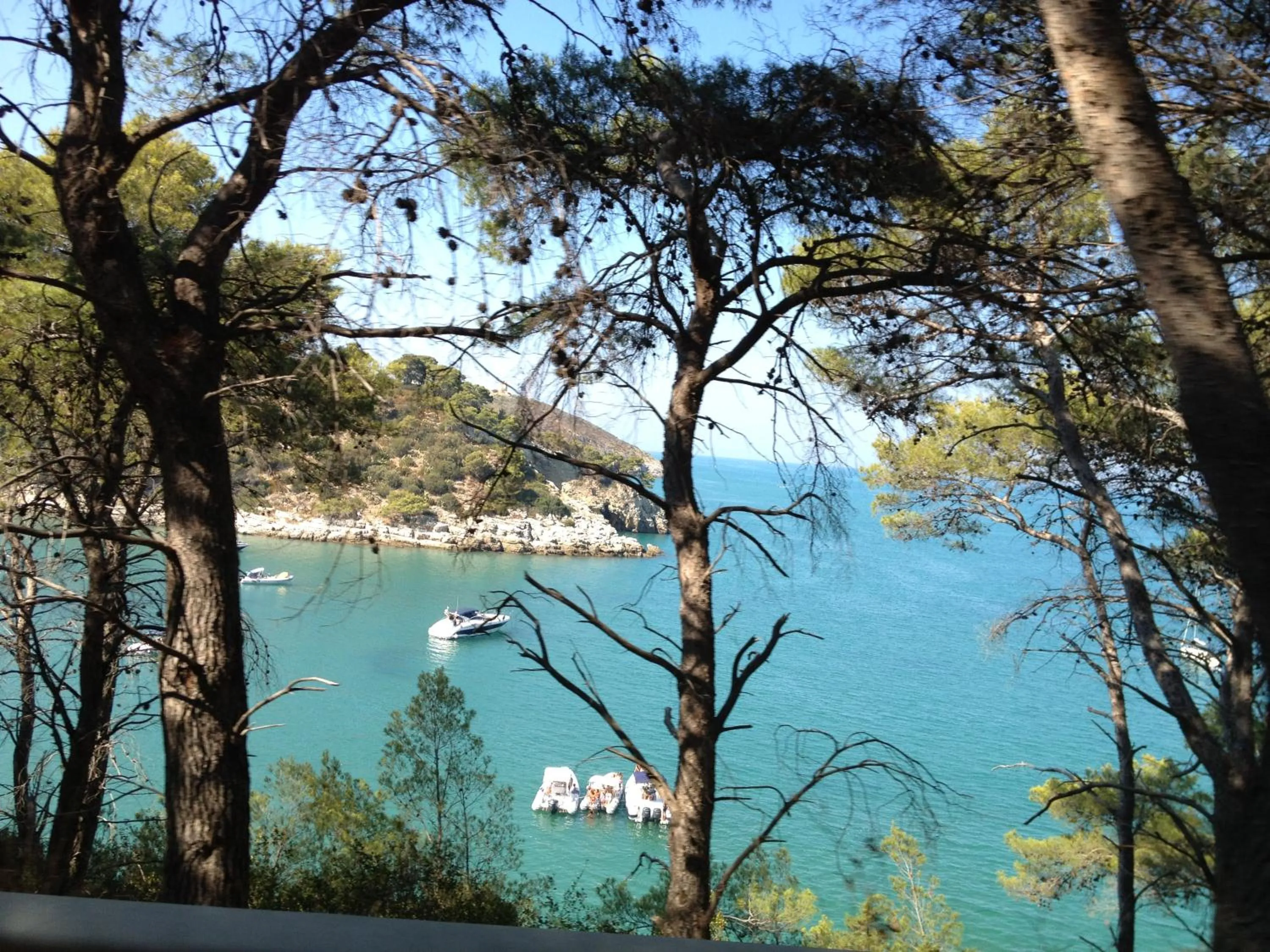 Sea view in B&B Villa Carla